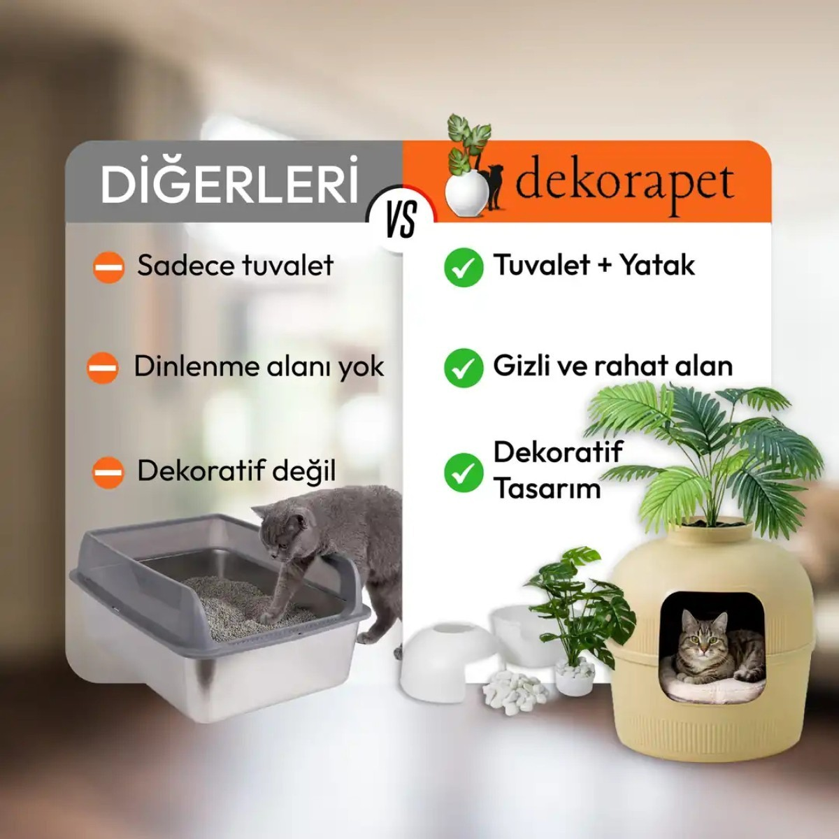 Kedi tuvaletleri karşılaştırması: standart ve dekoratif.