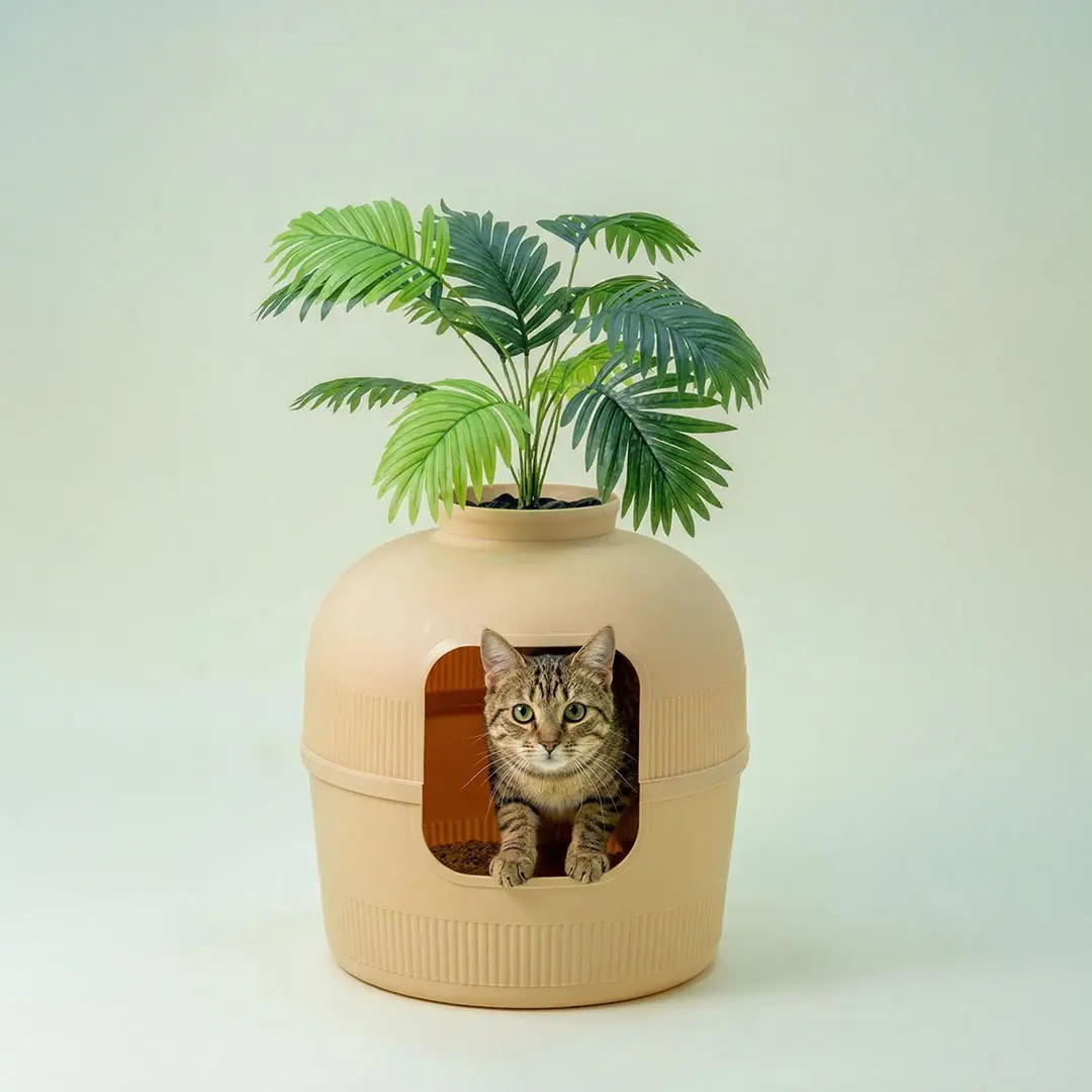 Üstünde bitki olan bej bir kedi tuvaletinin içinde oturan bir kedi.