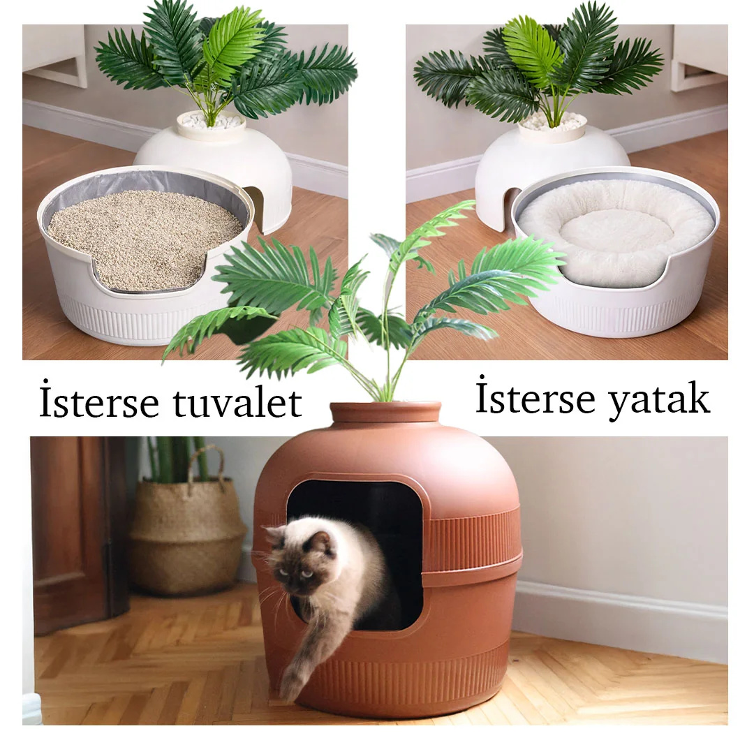 Kedi tuvalet kabı ve yatağı yan yana, altta kedili kahverengi kedi tuvaleti.