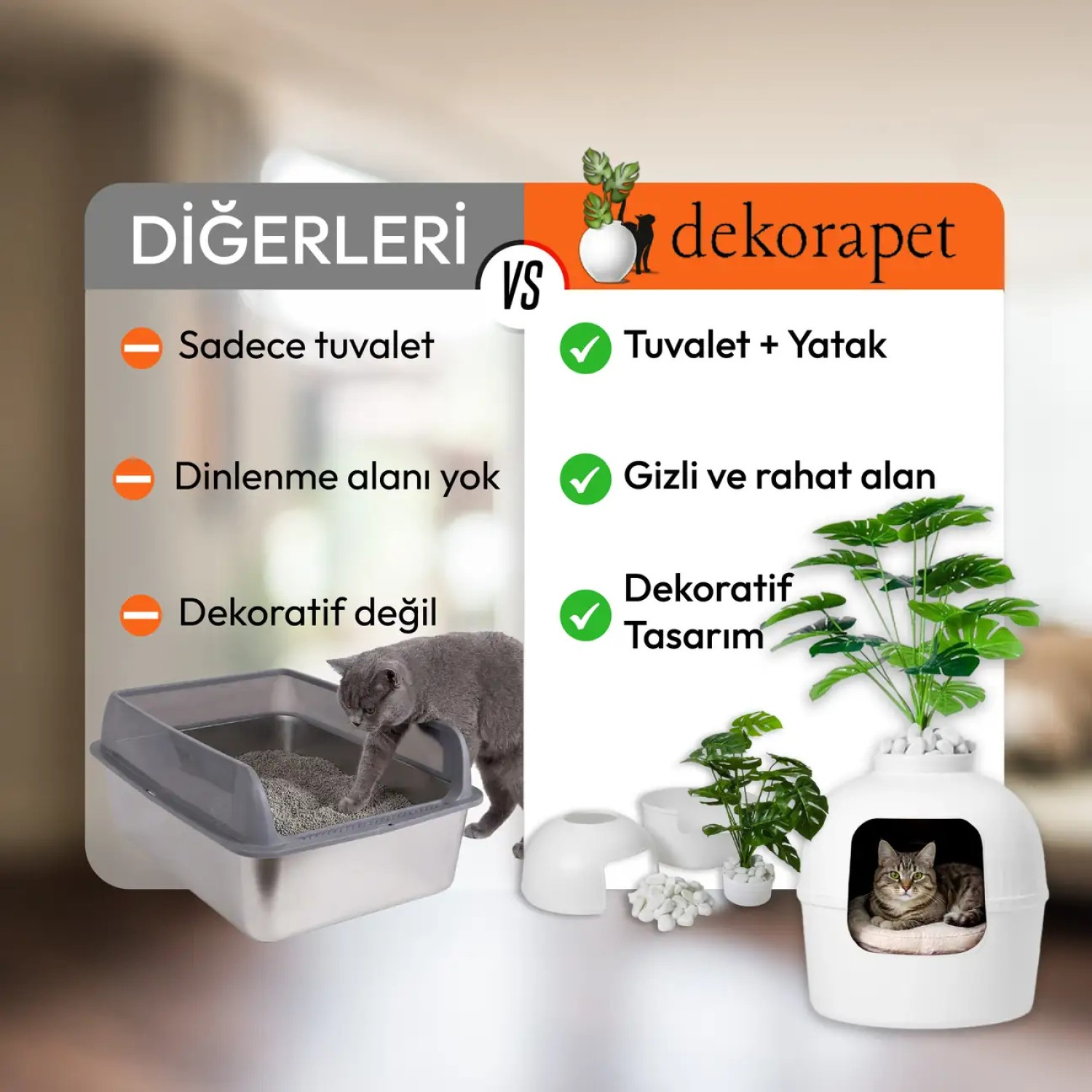 Kedi tuvaleti vs. yataklı ve bitkili dekoratif kedi evi.
