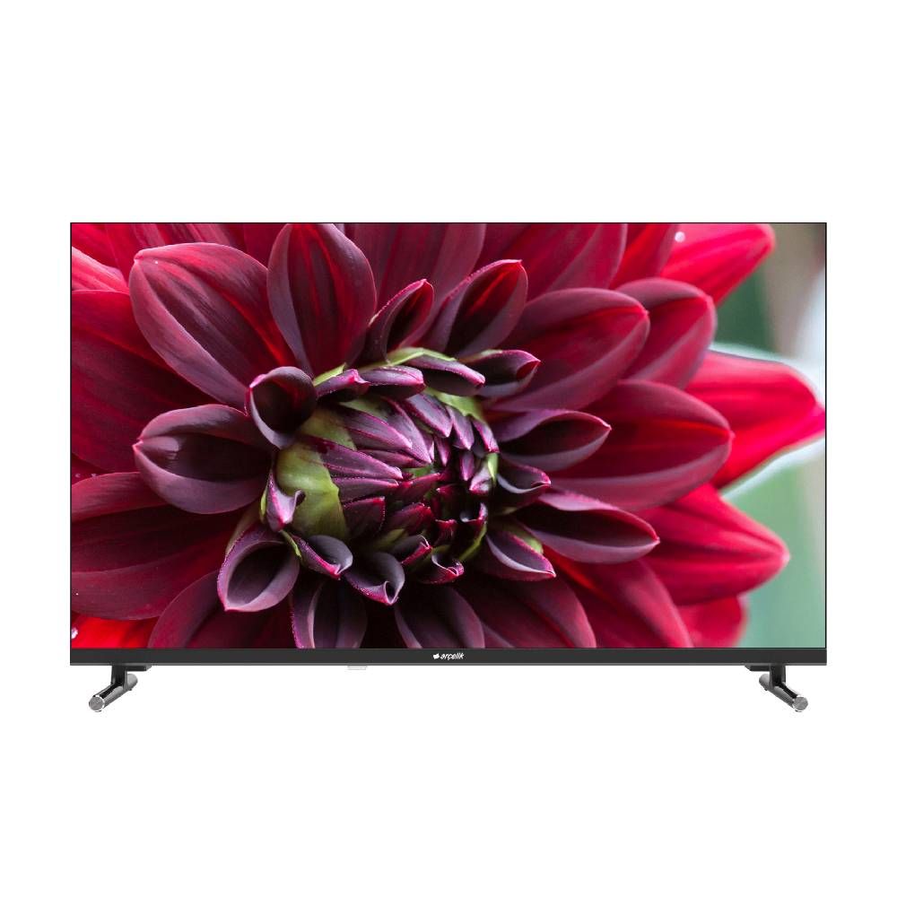 Bir TV ekranı, yeşil vurgularla koyu kırmızı bir çiçeğin yakın çekimini gösteriyor.