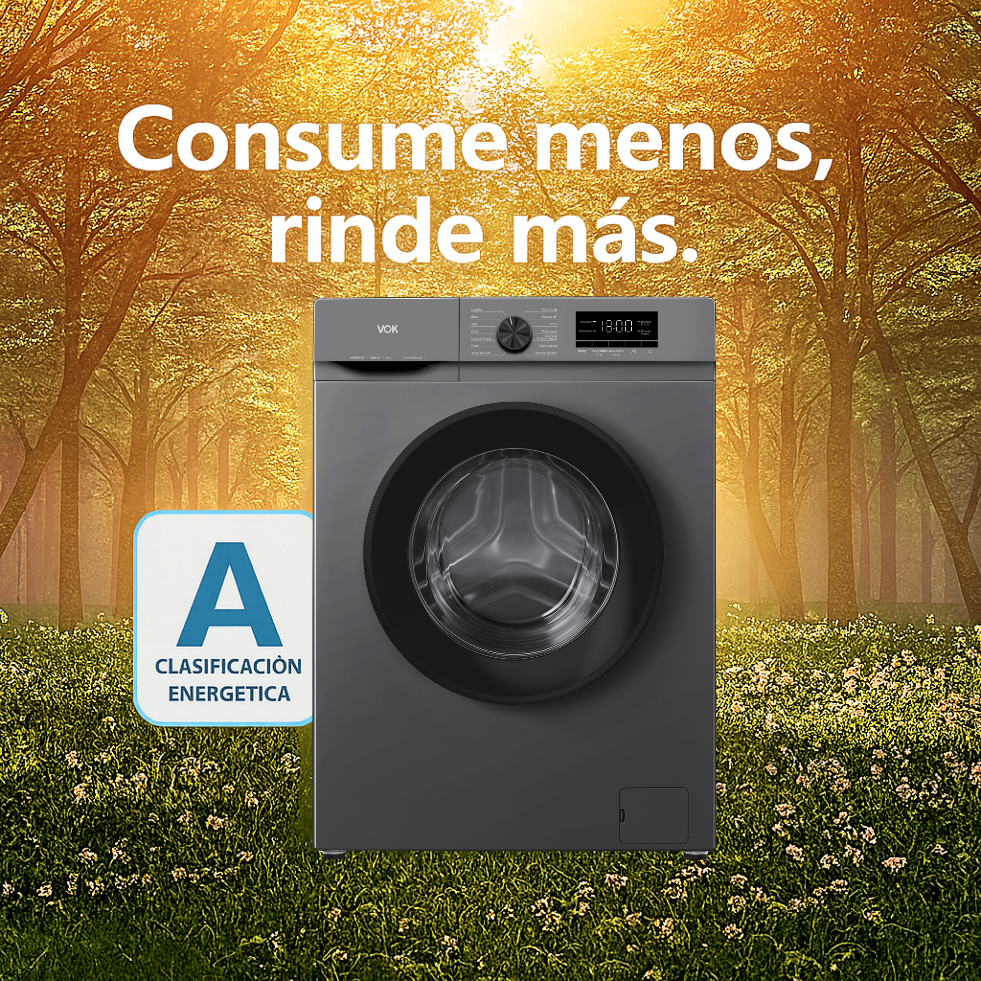 Lavadora gris con clasificación energética A en un bosque soleado.