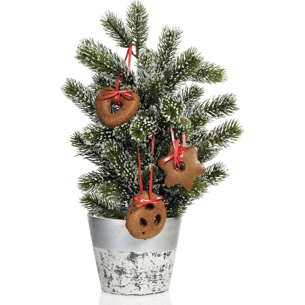 Ein kleiner, frostiger Nadelbaum im Topf, dekoriert mit Lebkuchenkeksen.