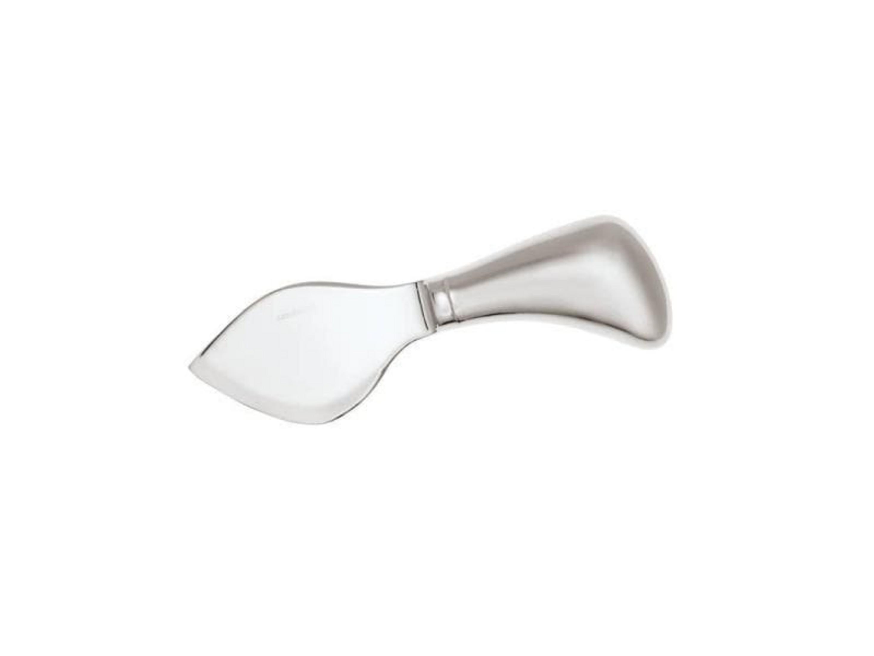 Un coltello da formaggio argentato lucido con lama curva e manico liscio.