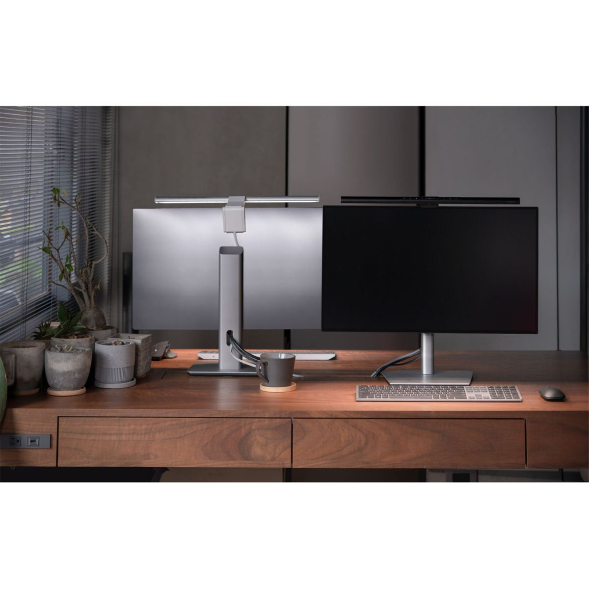 Two monitors on a desk with plants and a mug.