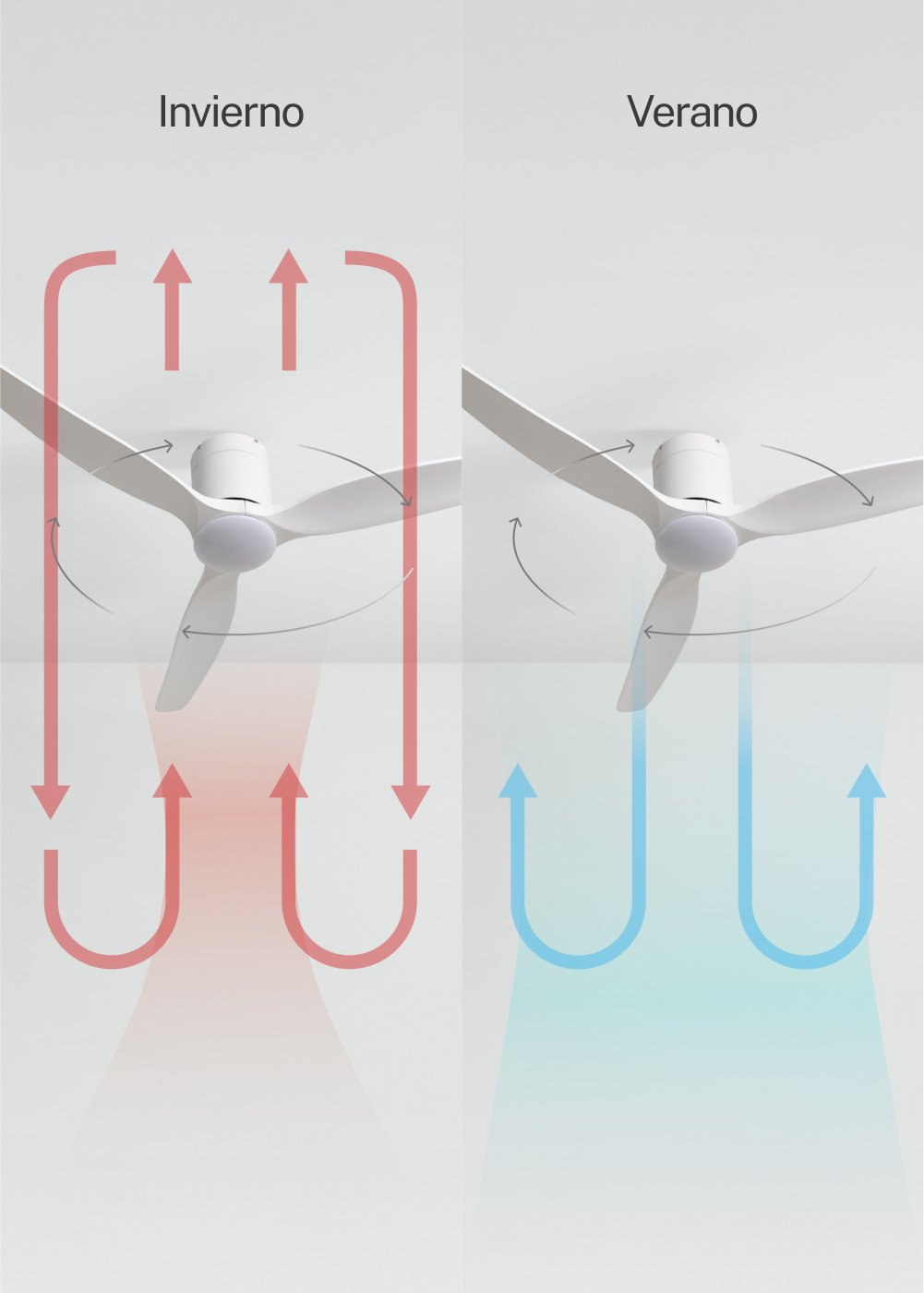 Ventilador de techo invierno/verano: Rojo muestra aire caliente arriba, azul aire frío abajo.