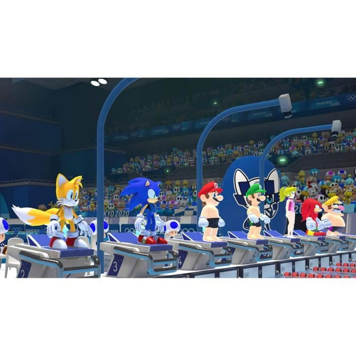 Personaggi come Sonic, Tails, Mario e Luigi si trovano sui blocchi di partenza.