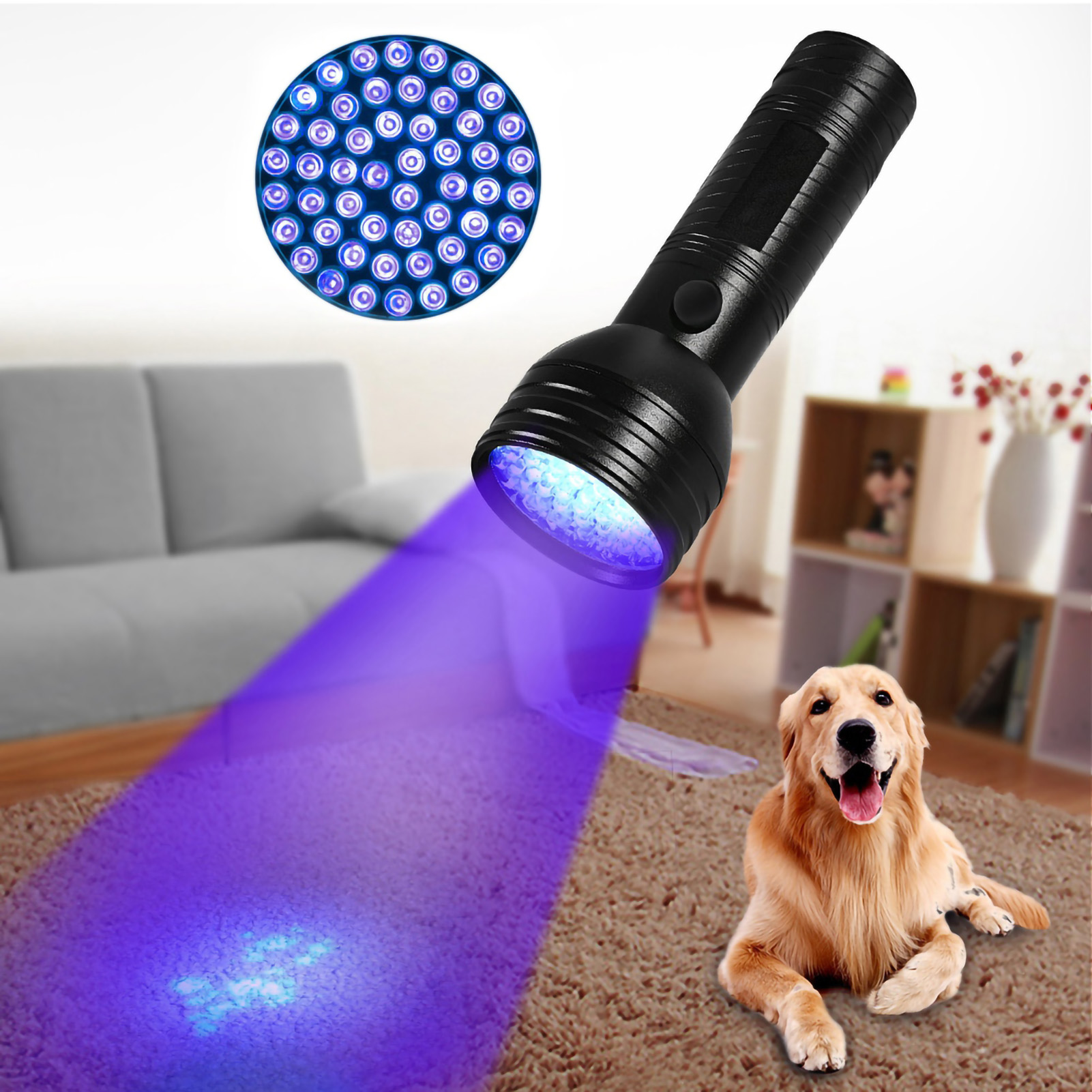 Ein schwarzer UV-Strahler leuchtet auf einen Hund und Teppich.