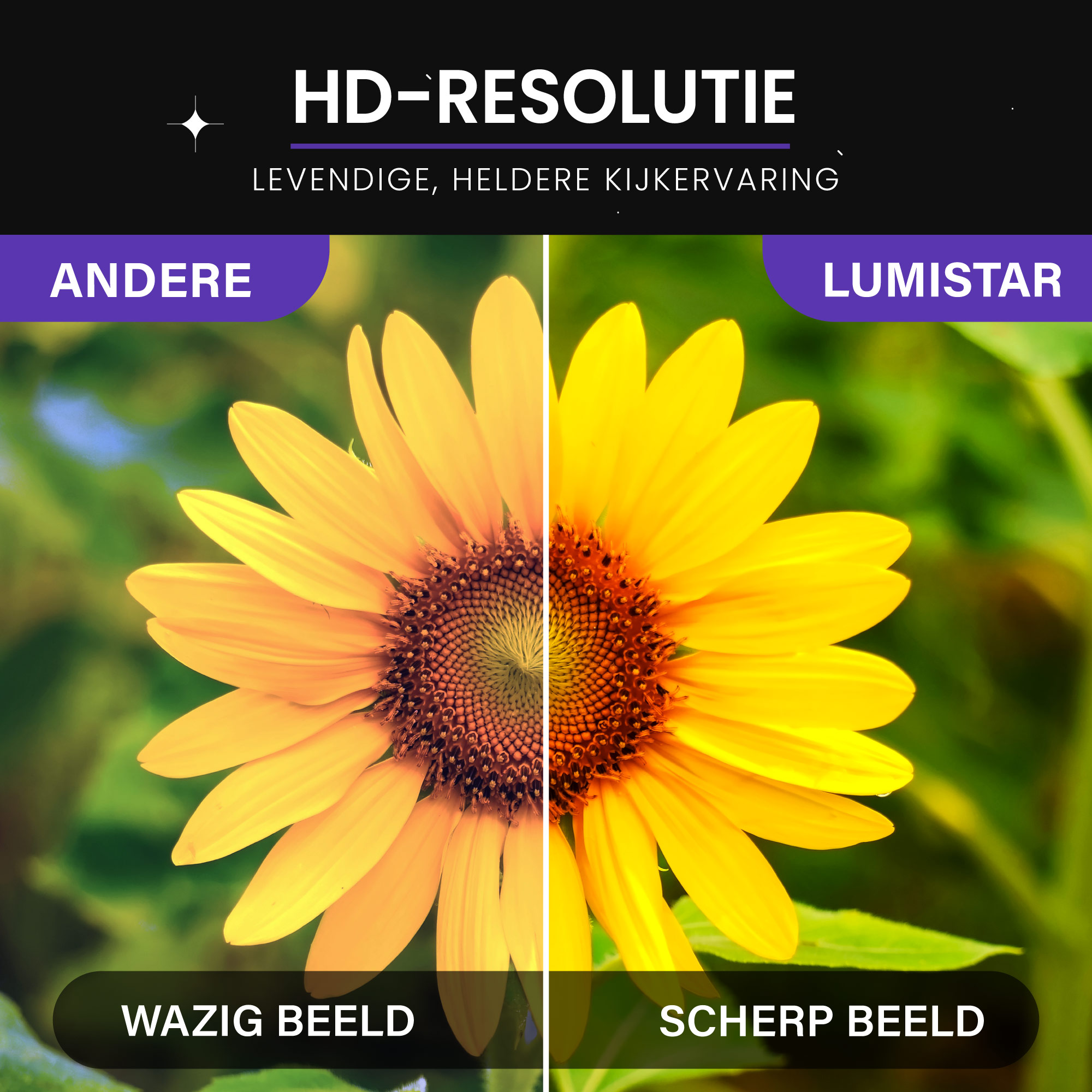 Sunflower comparison: left blurry, right sharp. HD resolution.