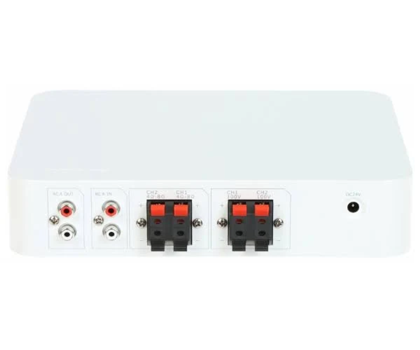 Caja blanca con conectores RCA, terminales de altavoz y conector CC.