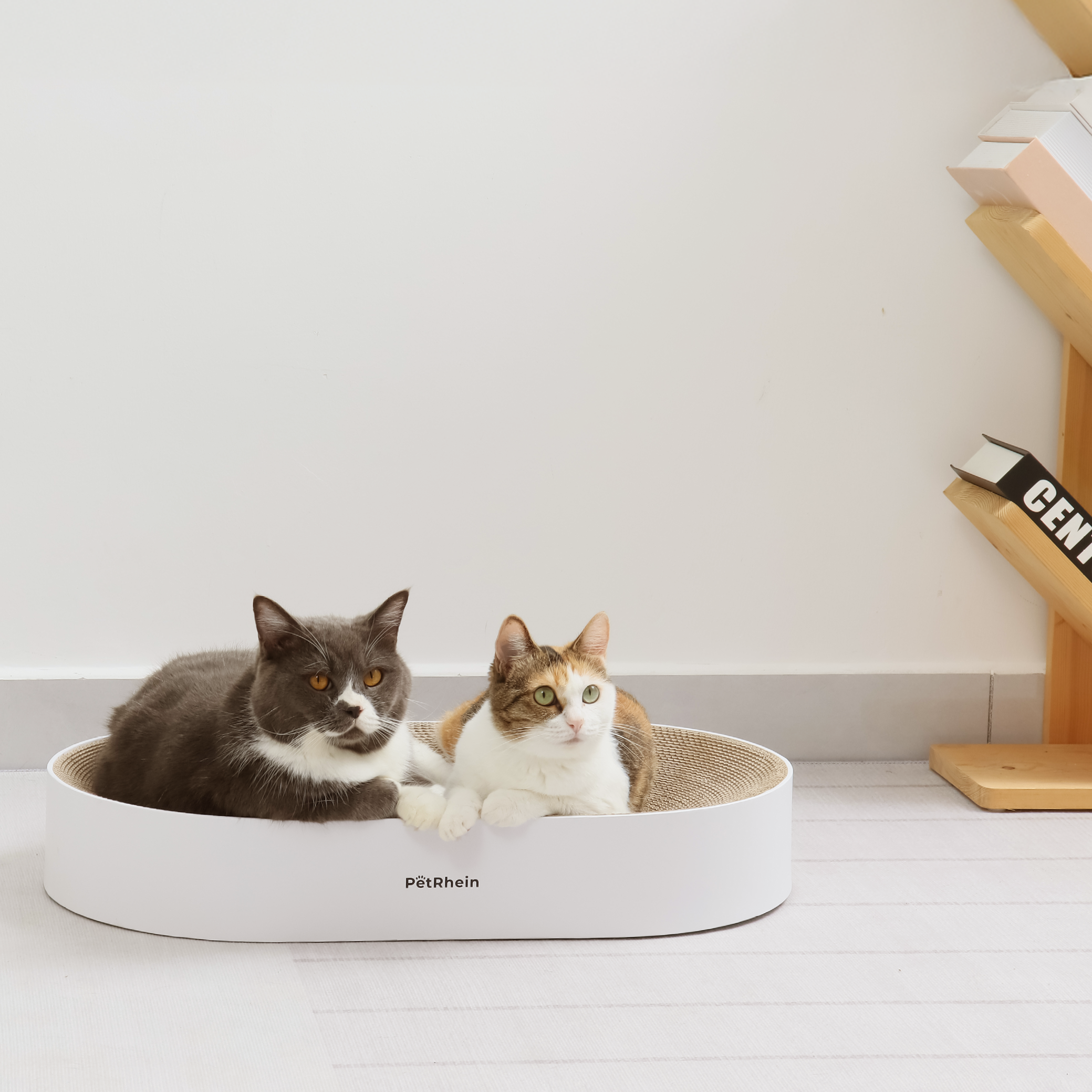 Due gatti riposano in un letto graffiato bianco.