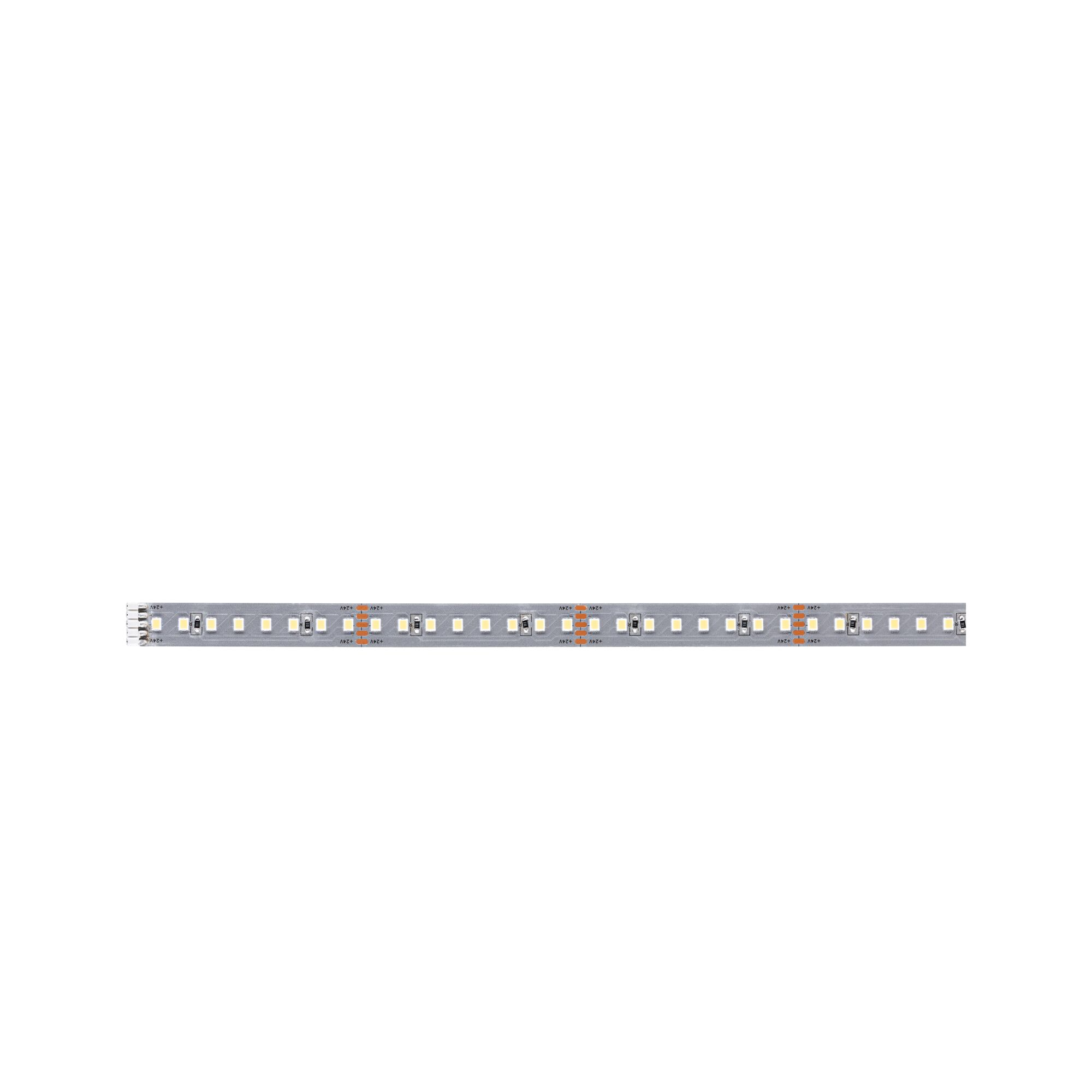 Ein LED-Streifen mit vielen Lichtern und +24V-Markierungen.