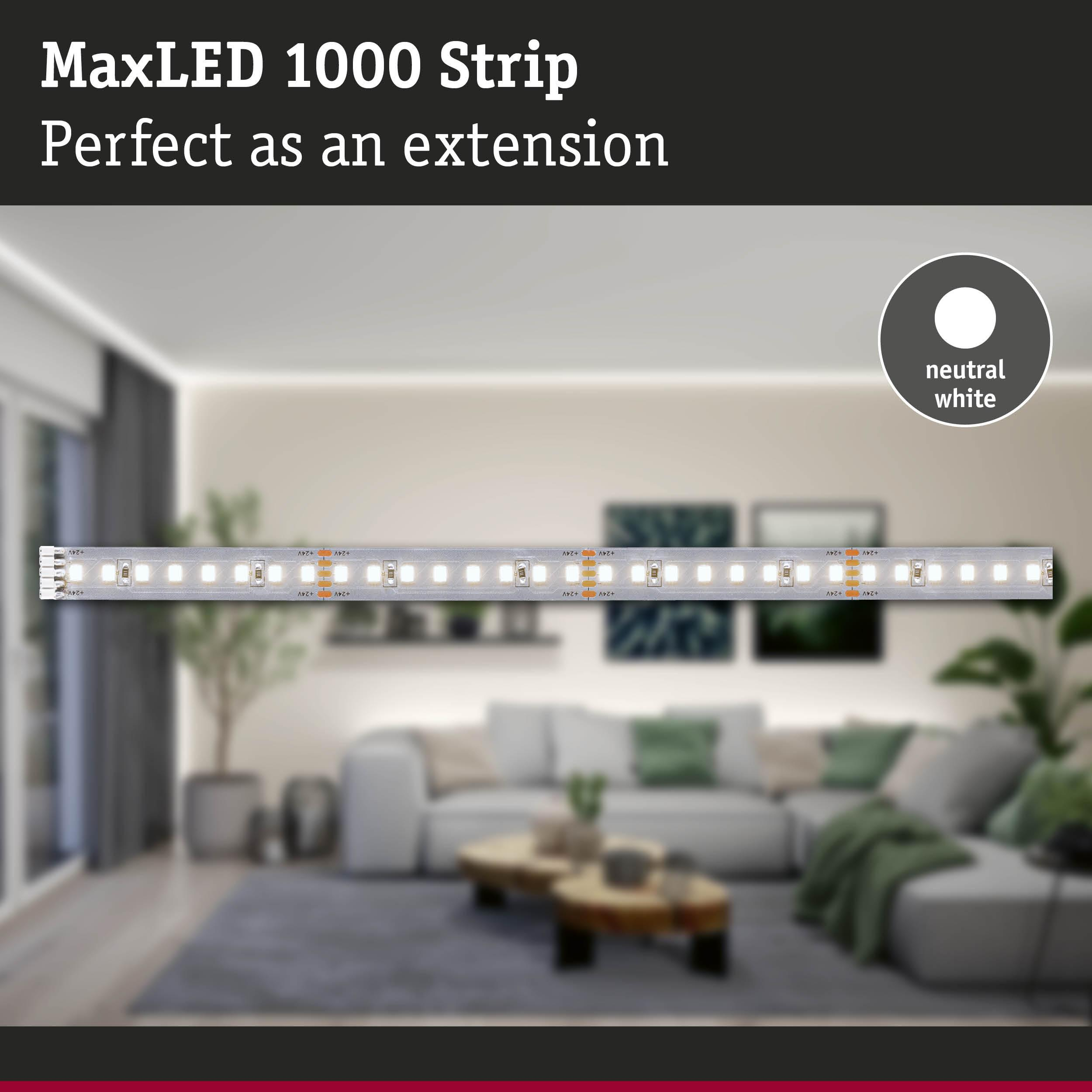 Ein hellweißer LED-Streifen mit der Aufschrift "MaxLED 1000 Strip"