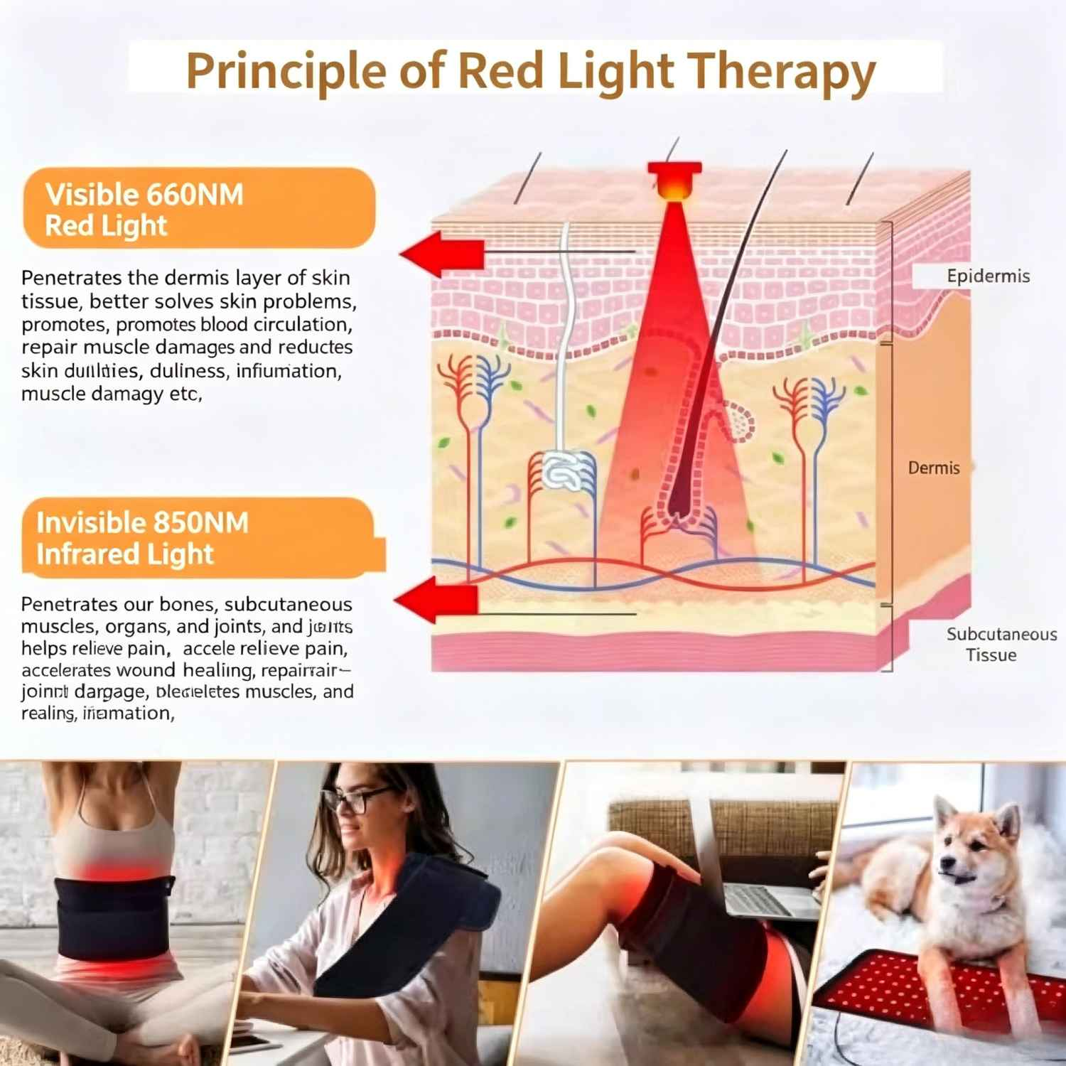 Grafik zeigt Hautschichten und die Wirkung von rotem Licht. Unten sind Anwender zu sehen.