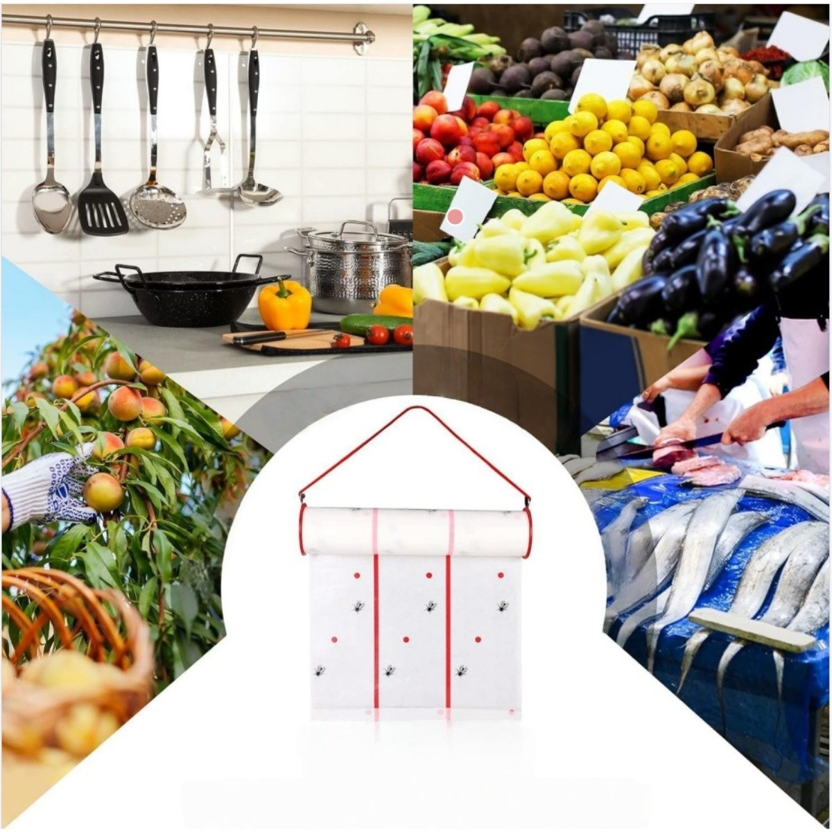 Collage: Cucina, mercato, raccolta frutta e mercato ittico con trappola per mosche.