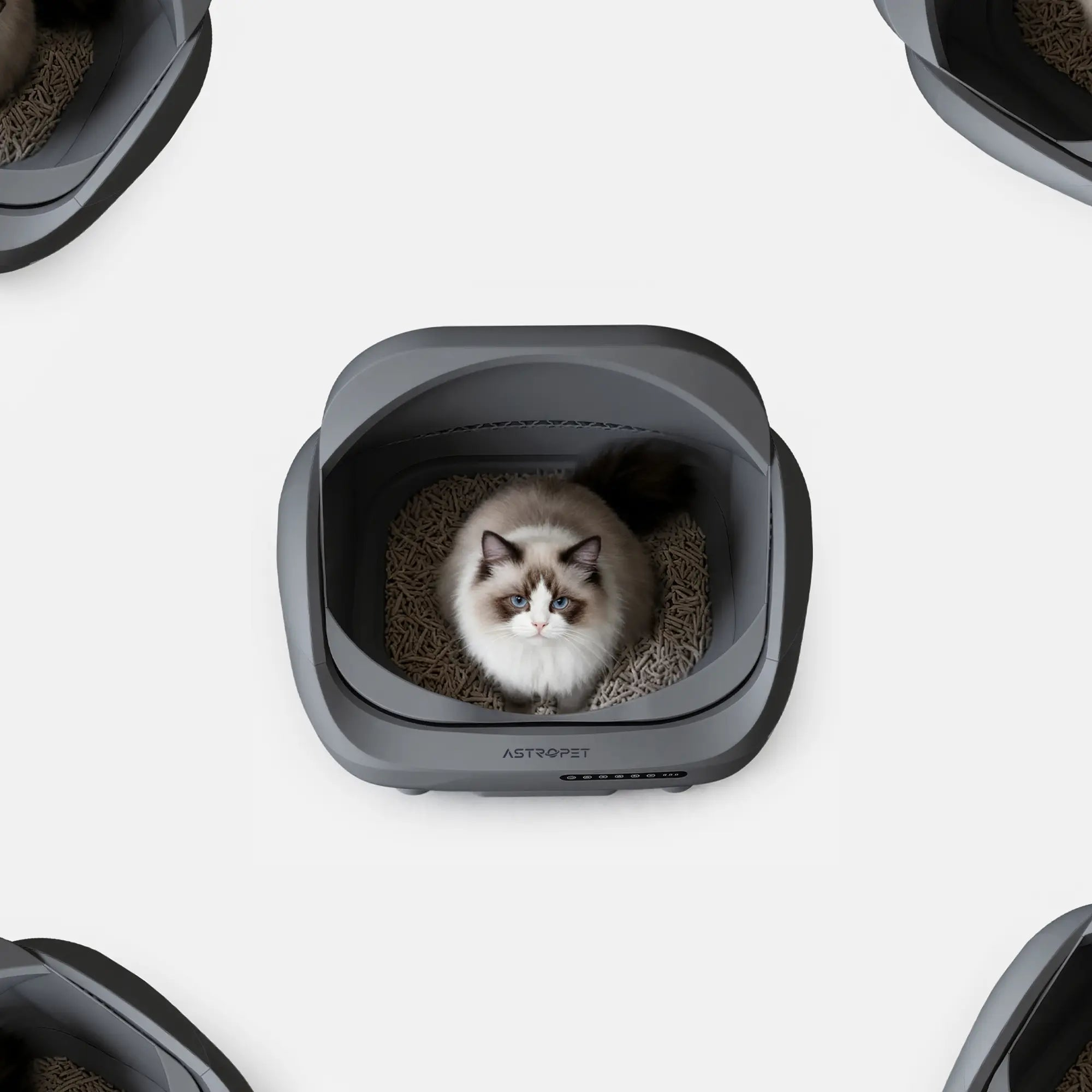 Eine Katze sitzt in einer grauen selbstreinigenden Katzentoilette mit Holzpellets.