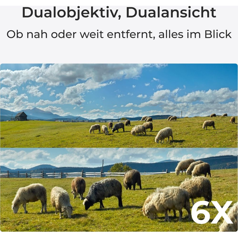 Schafherde auf einer grünen Wiese unter blauem Himmel mit Wolken. Zwei Ansichten.