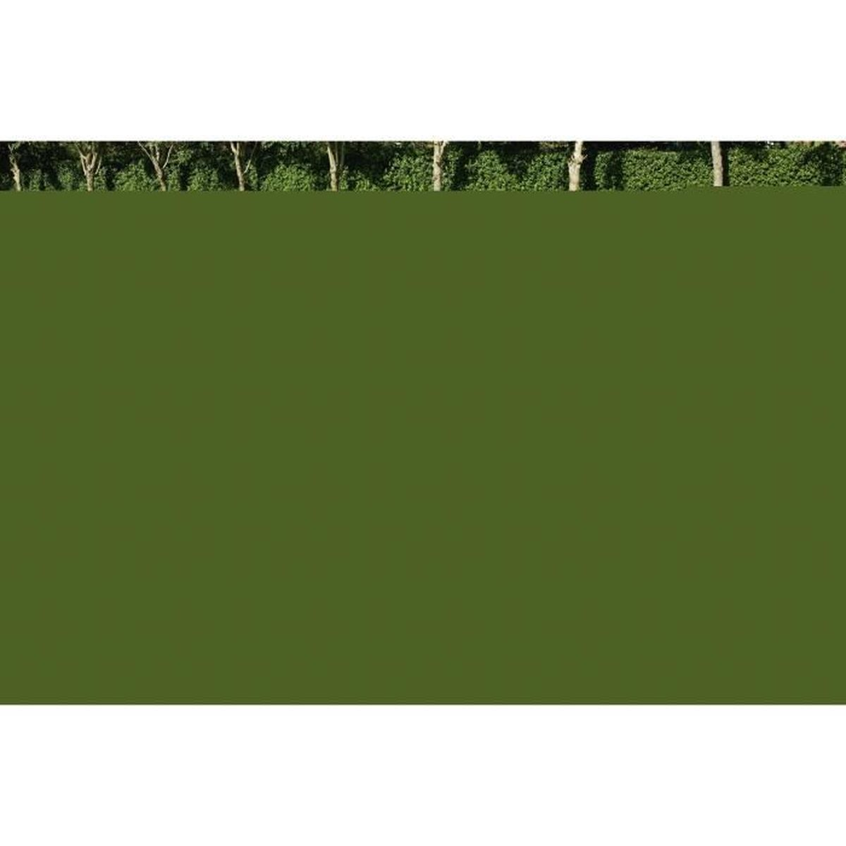 Rząd drzew z gęstym zielonym listowiem stoi przed zielonym polem.