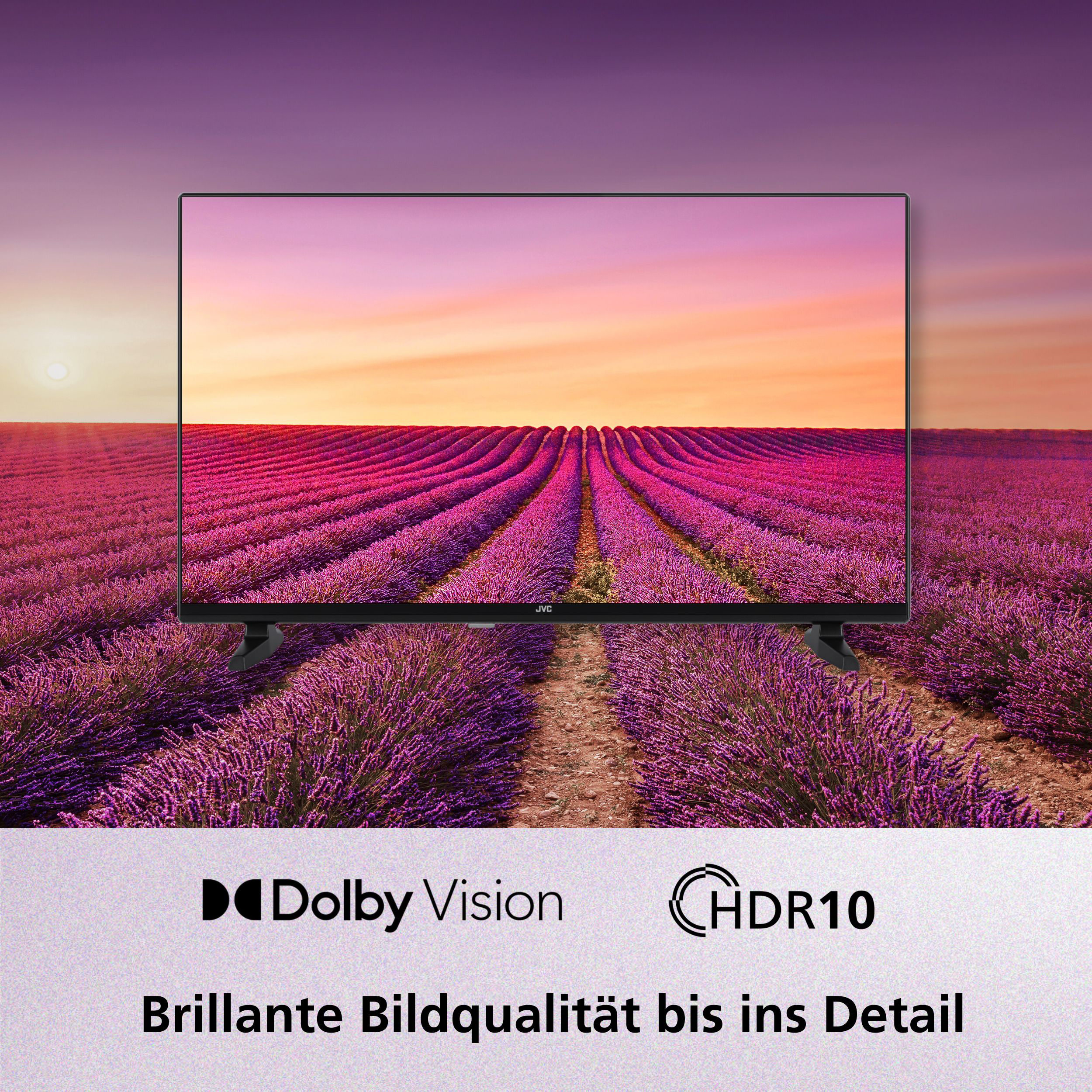 Ein Fernseher zeigt ein Lavendelfeld bei Sonnenuntergang. Dolby Vision und HDR10.