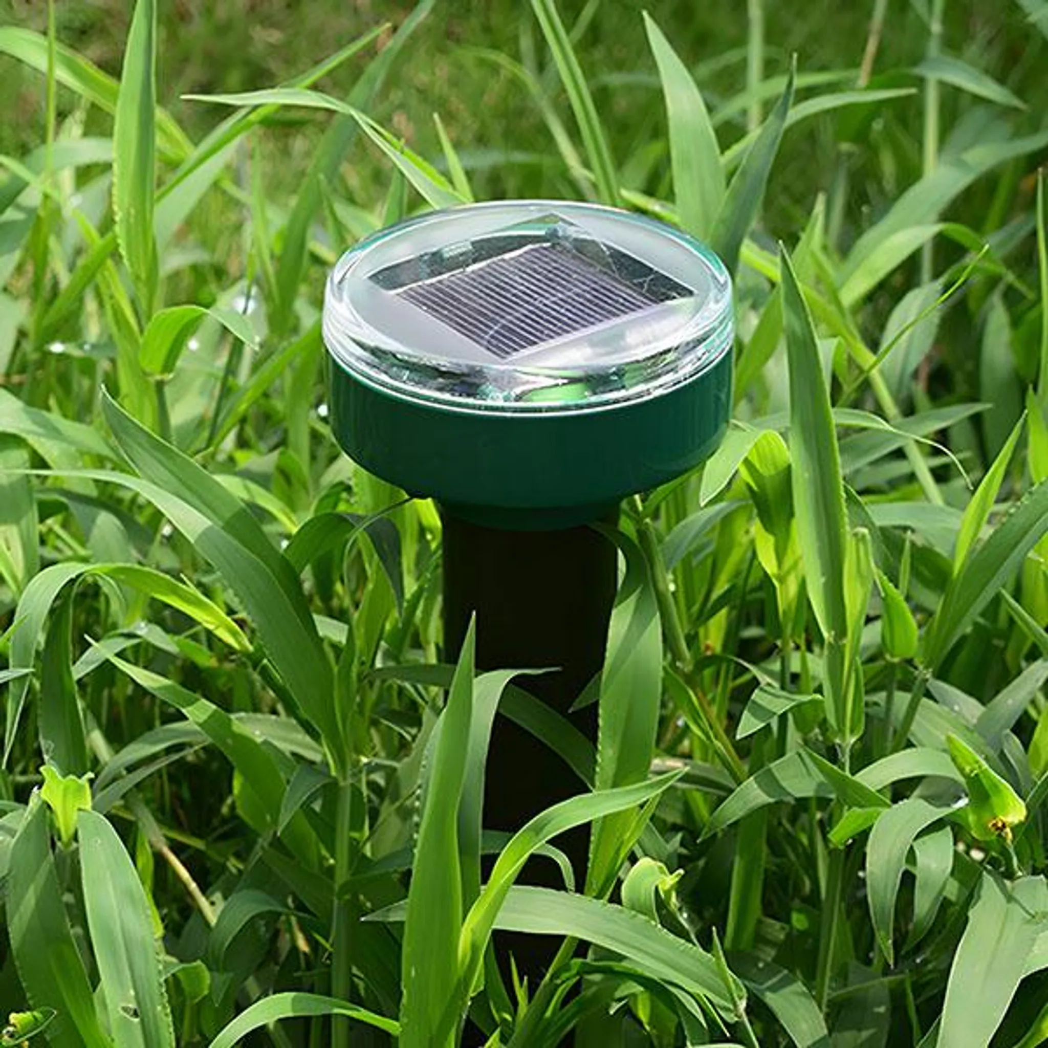 Ein Solar-Schädlingsvertreiber mit blauem Gehäuse und Solarpanel inmitten von grünem Gras.