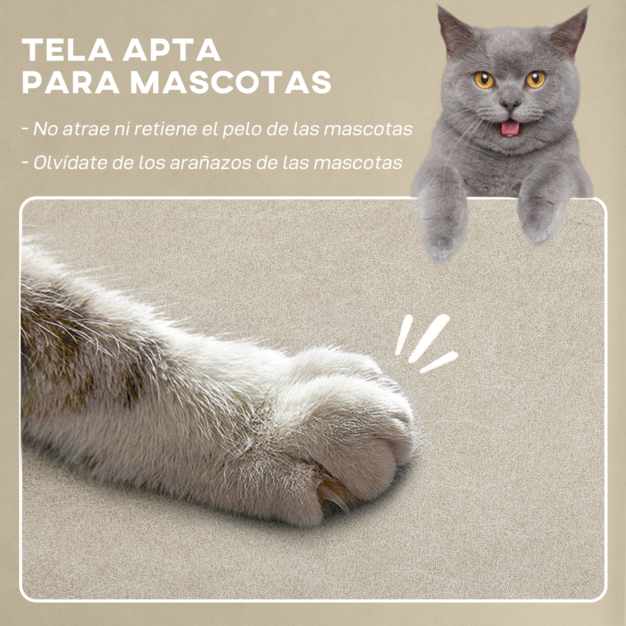 Gato gris con ojos amarillos sacando la lengua. Primer plano de la pata de un gato.