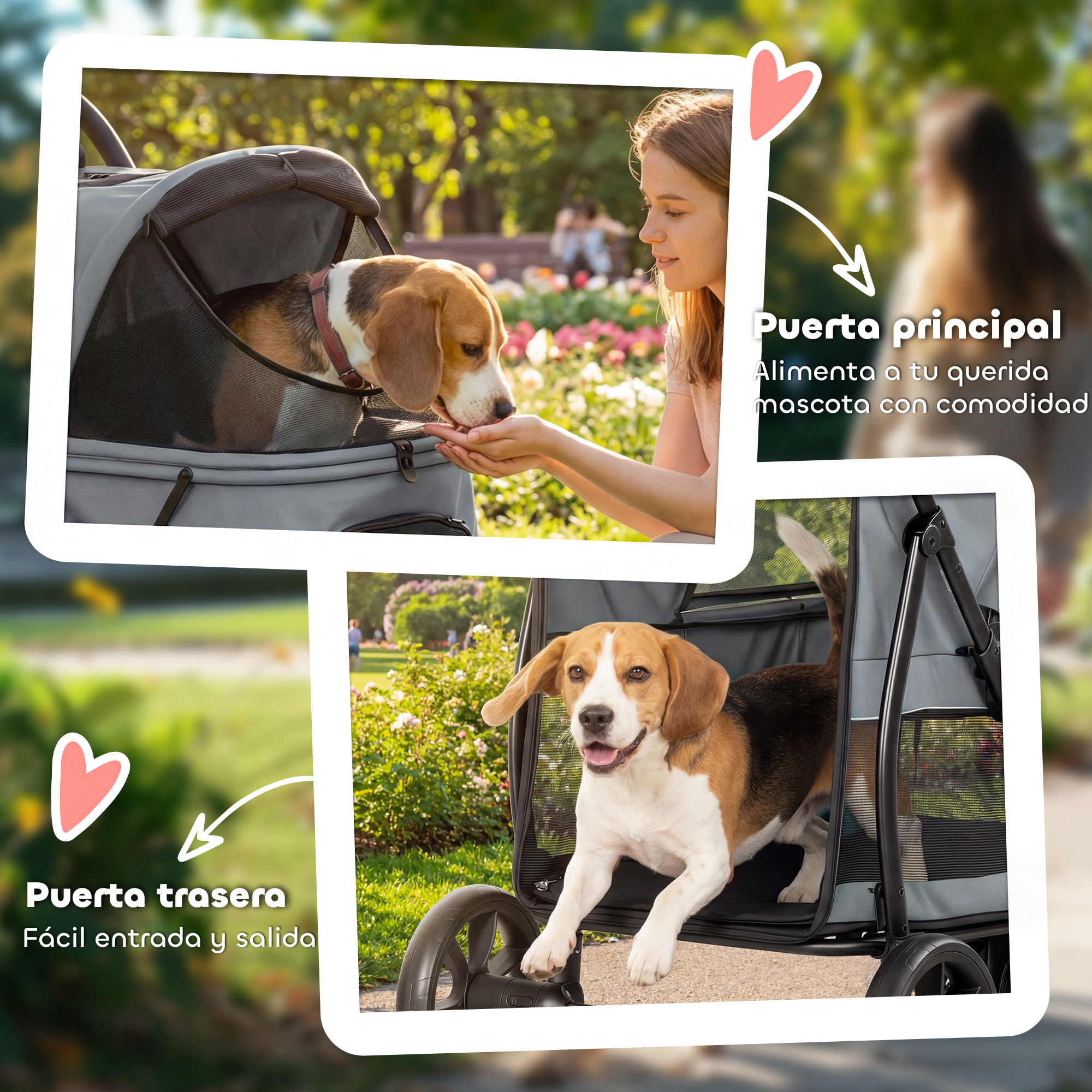 Un perro beagle en un cochecito en un parque mientras una mujer lo alimenta.