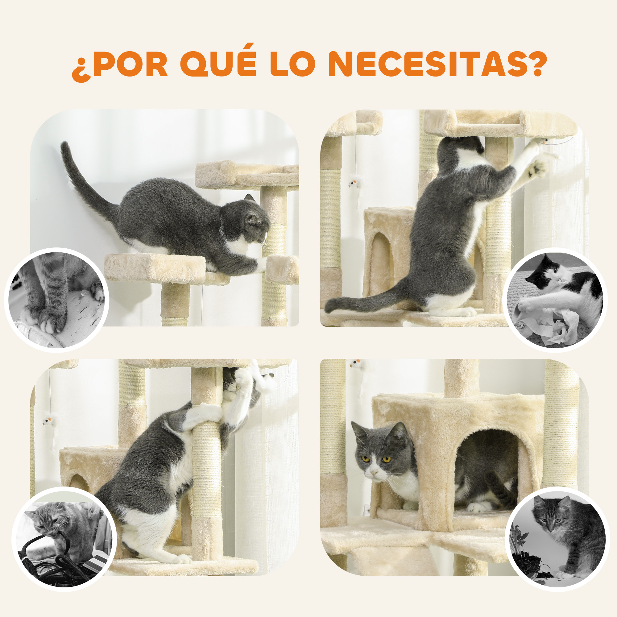 Cuatro escenas de gatos en un árbol para gatos: uno jugando, uno trepando, uno descansando en un cubículo, uno jugando con papel.