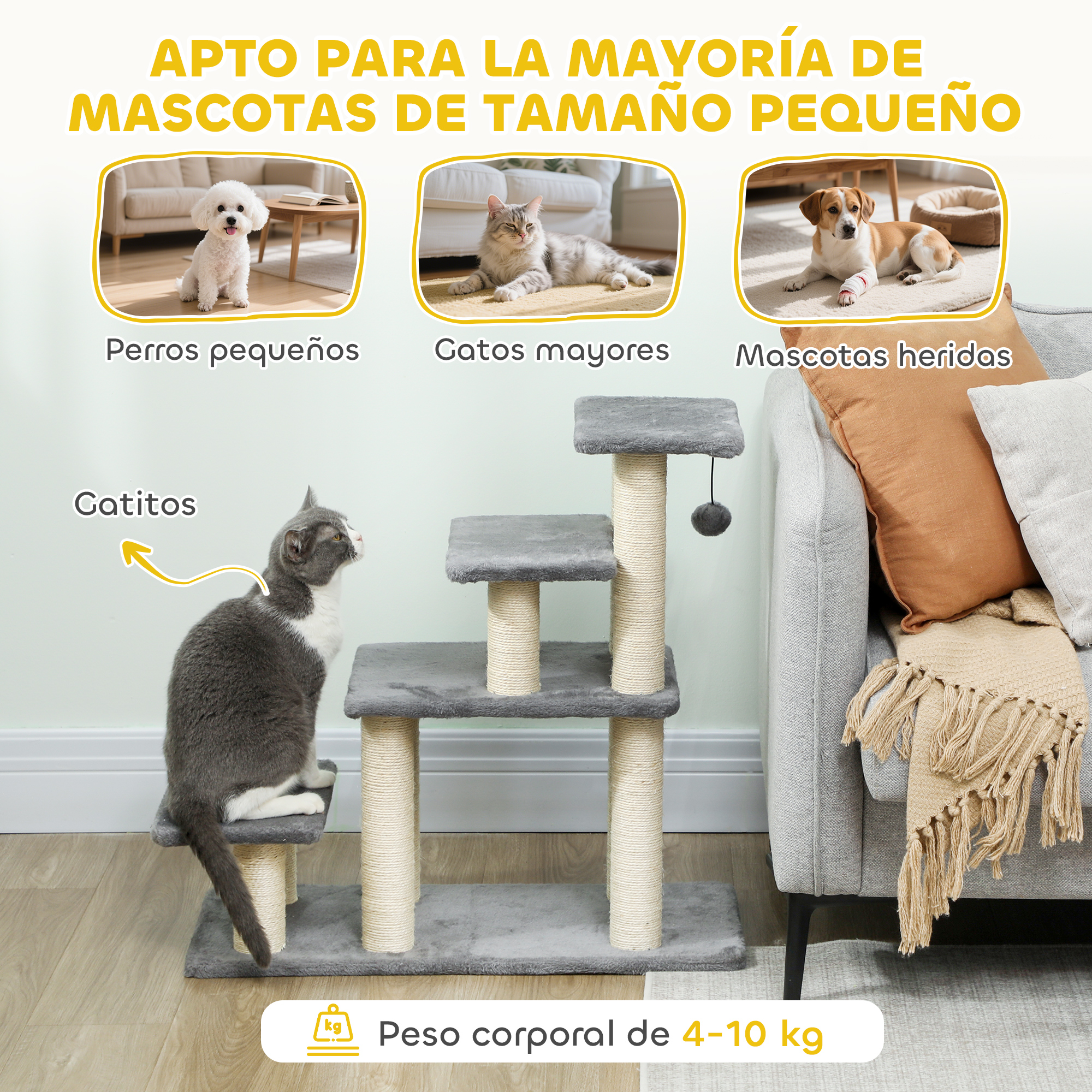 Gato gris en un árbol rascador, junto a un sofá con cojines. Arriba fotos de perros y gatos.