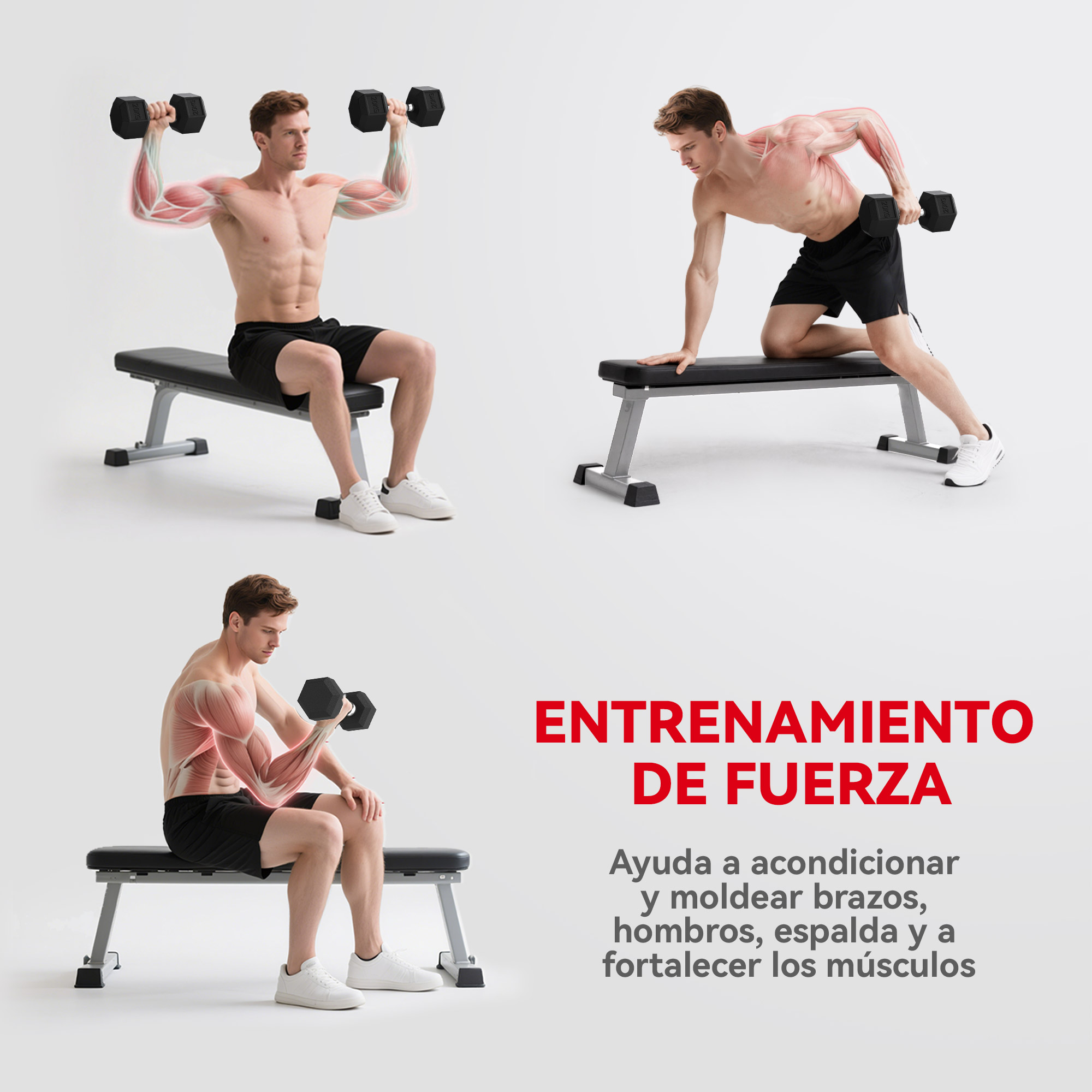 Un hombre se ejercita con pesas en un banco, con musculatura resaltada.