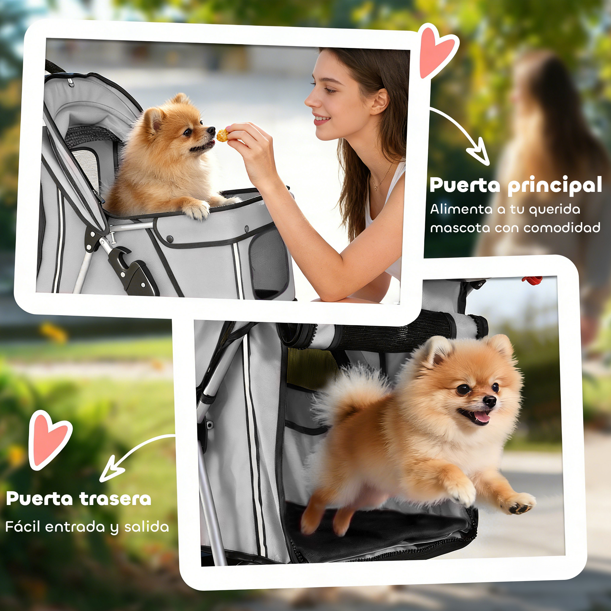 Una mujer alimenta a un cachorro Pomerania en un cochecito.