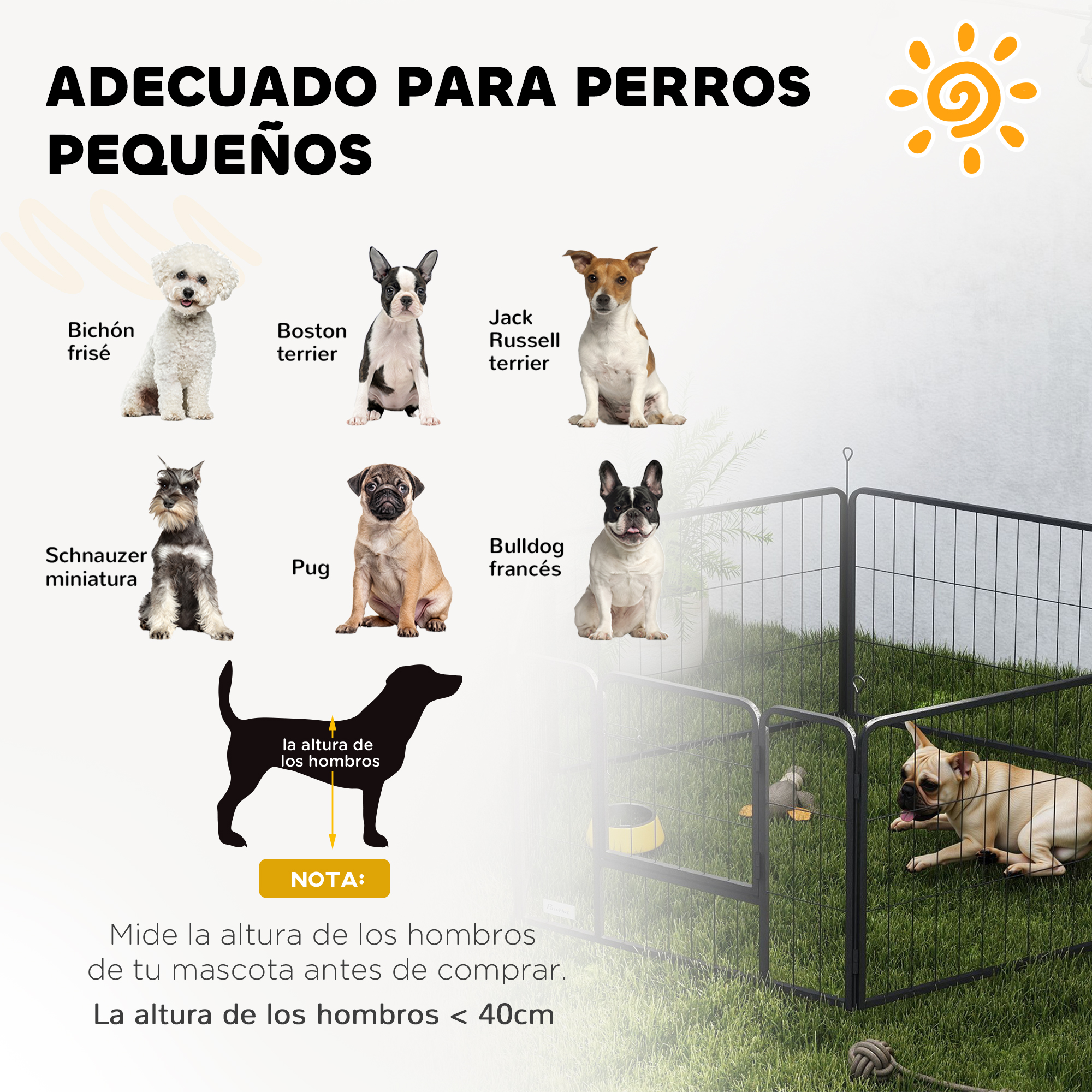 Infografía que muestra varias razas de perros pequeños y un recinto para mascotas.
