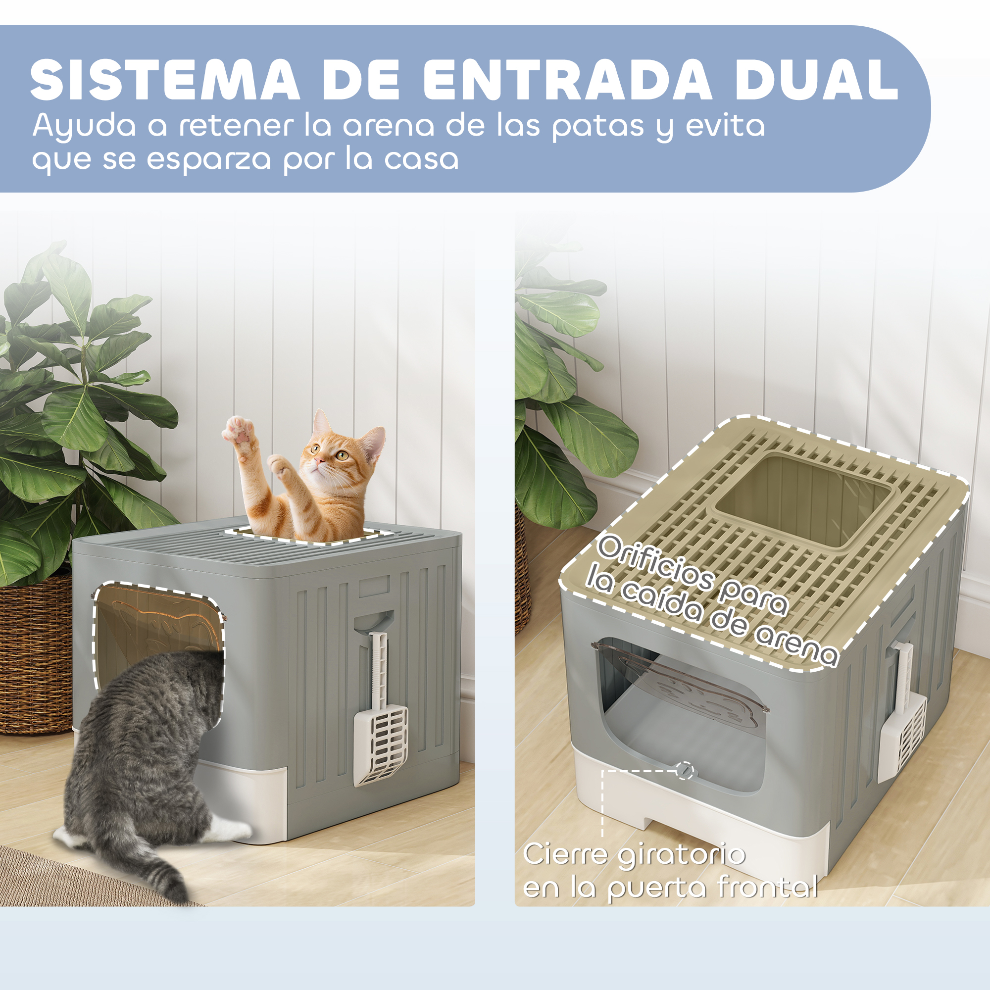Arenero gris con dos gatos, uno saliendo, el otro entrando.