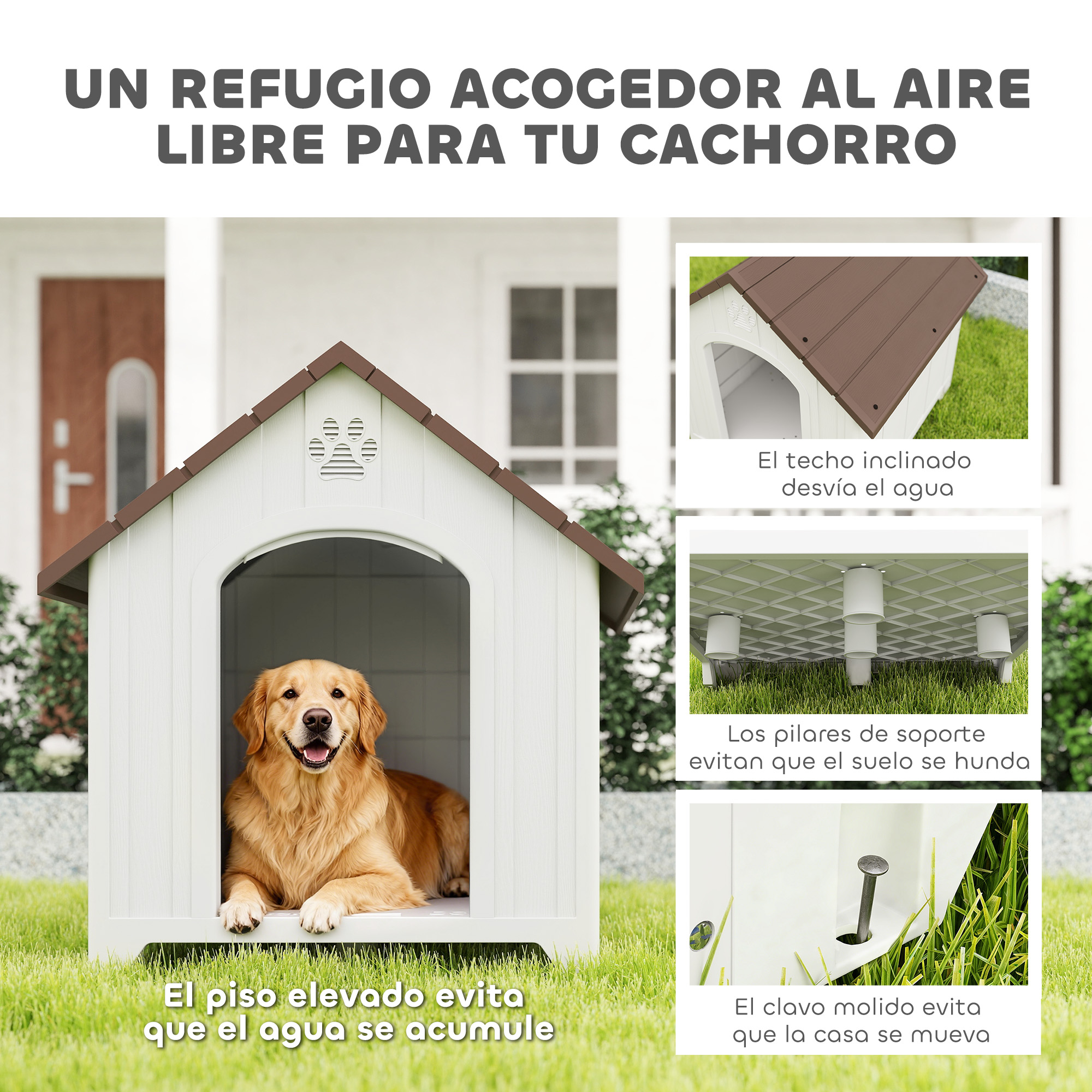 Un Golden Retriever en una casa para perros blanca con techo marrón. Se muestran detalles.