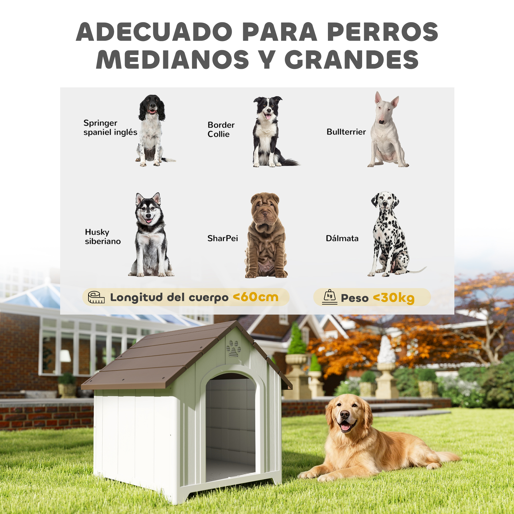 Casa para perros con Golden Retriever y razas de perros al fondo.