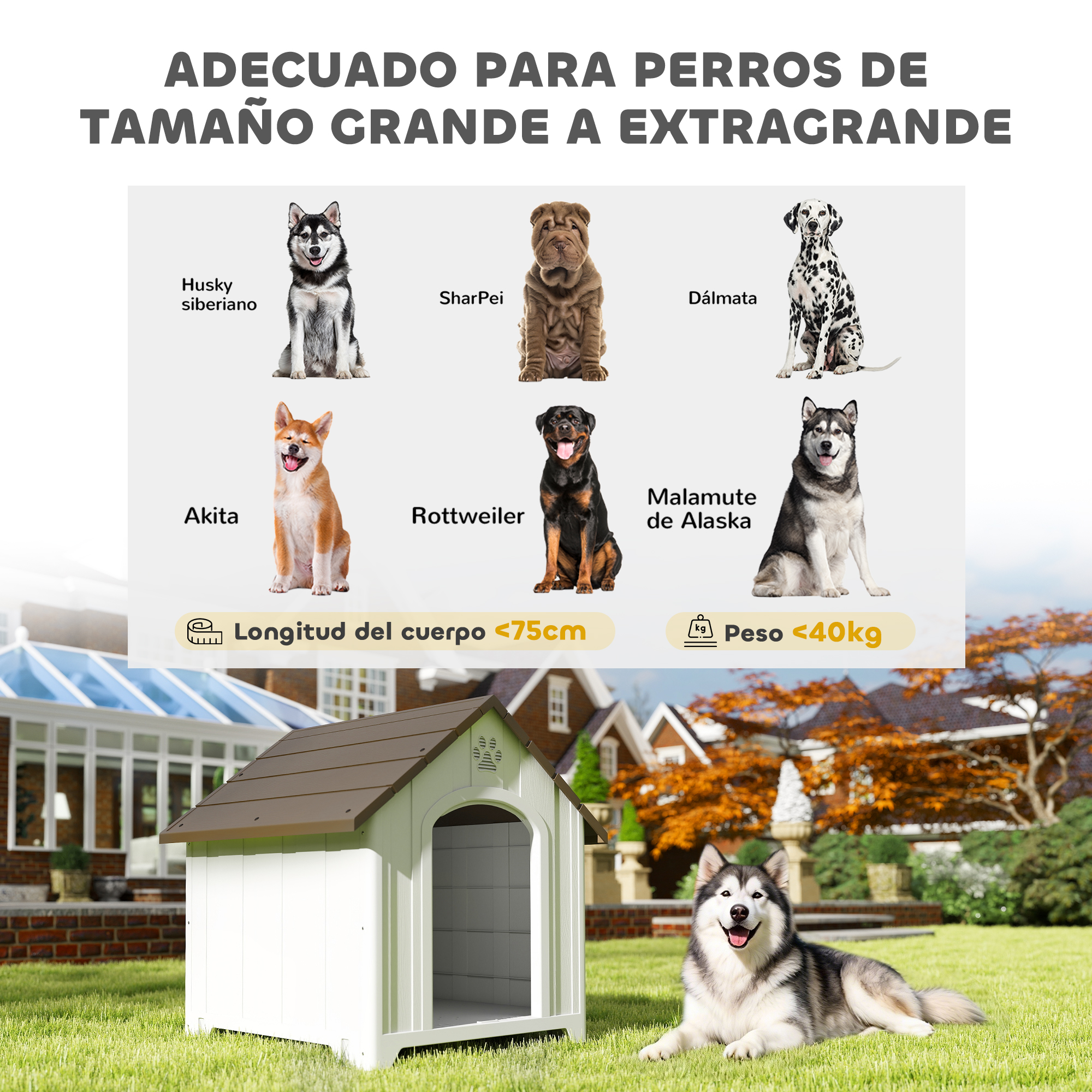 Ilustración de perros y casas para perros con texto sobre restricciones de tamaño.