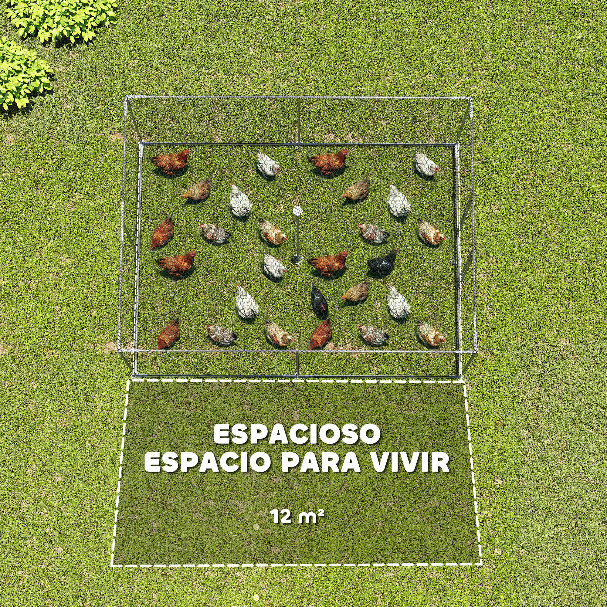Pollos en un corral sobre césped verde con texto 'Espacioso Espacio Para Vivir 12 m²'.