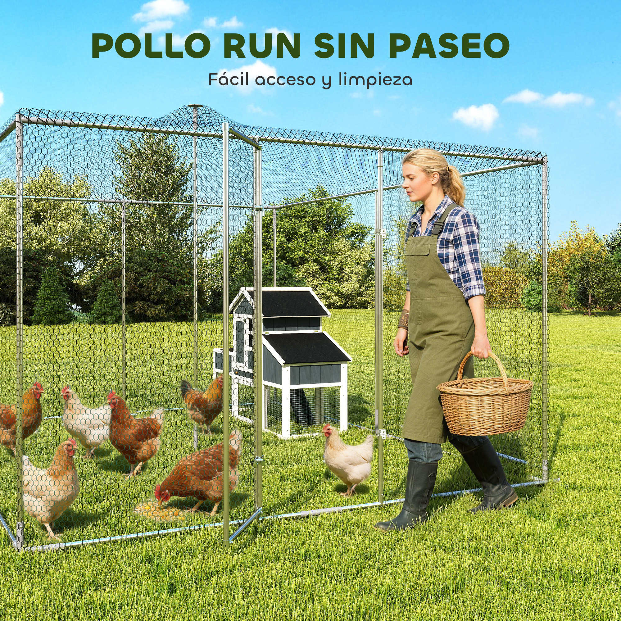 Mujer con cesta entra en gallinero con gallinas y casa.