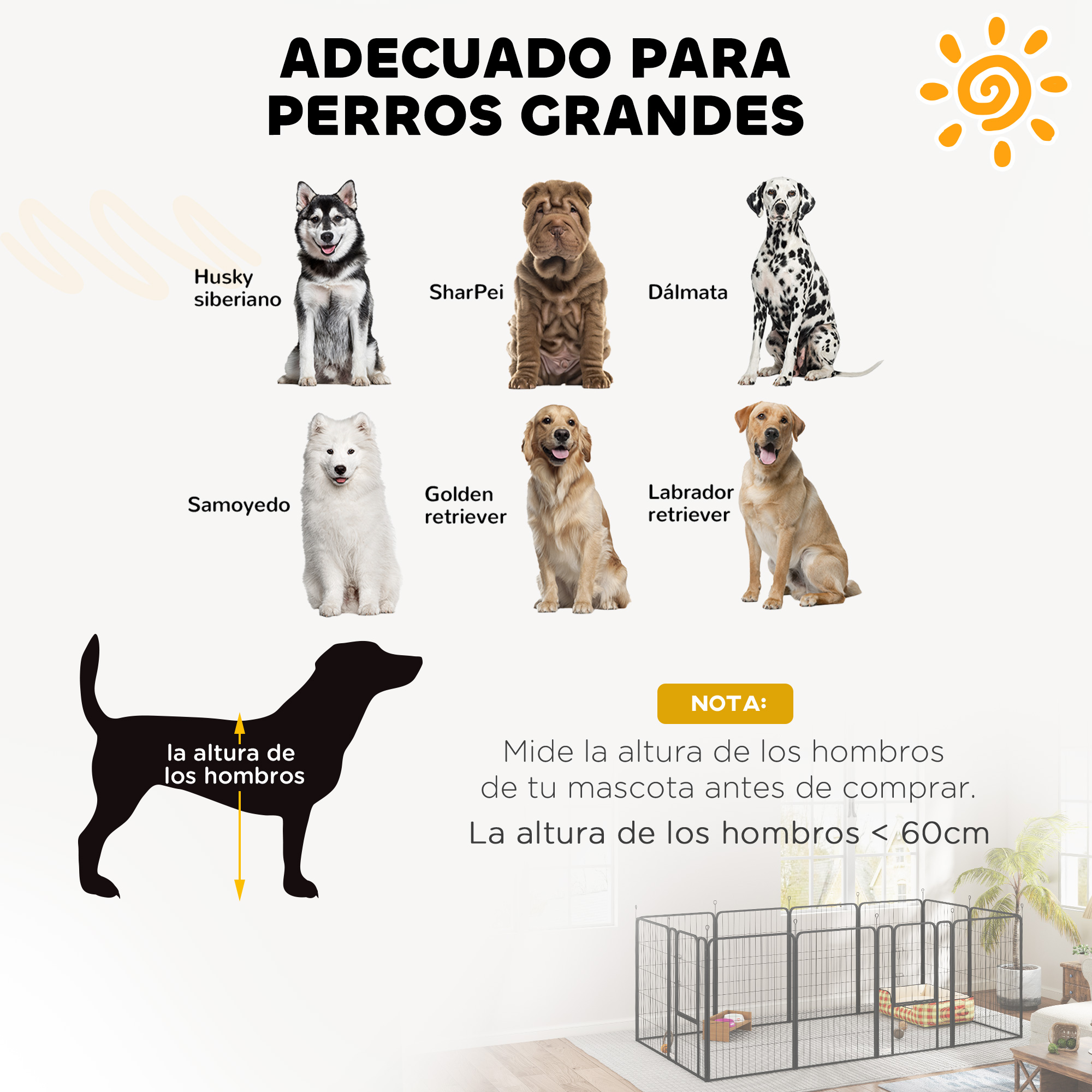 Ilustración: Perros grandes; Husky, Shar Pei, Dálmata, Samoyedo, Golden, Labrador.