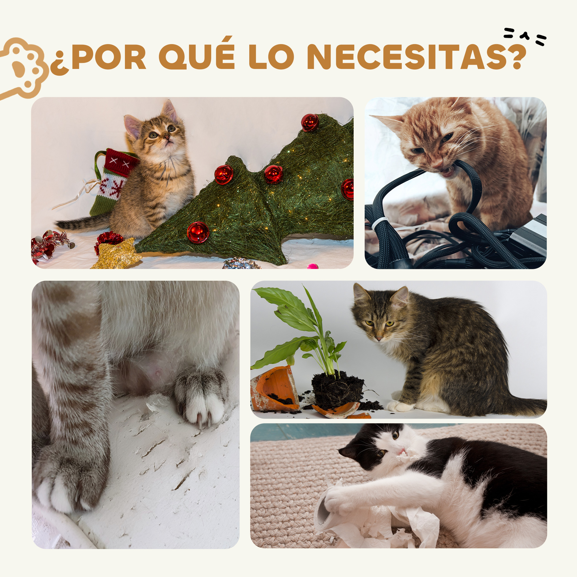 Colage con cinco imágenes de gatos y texto.