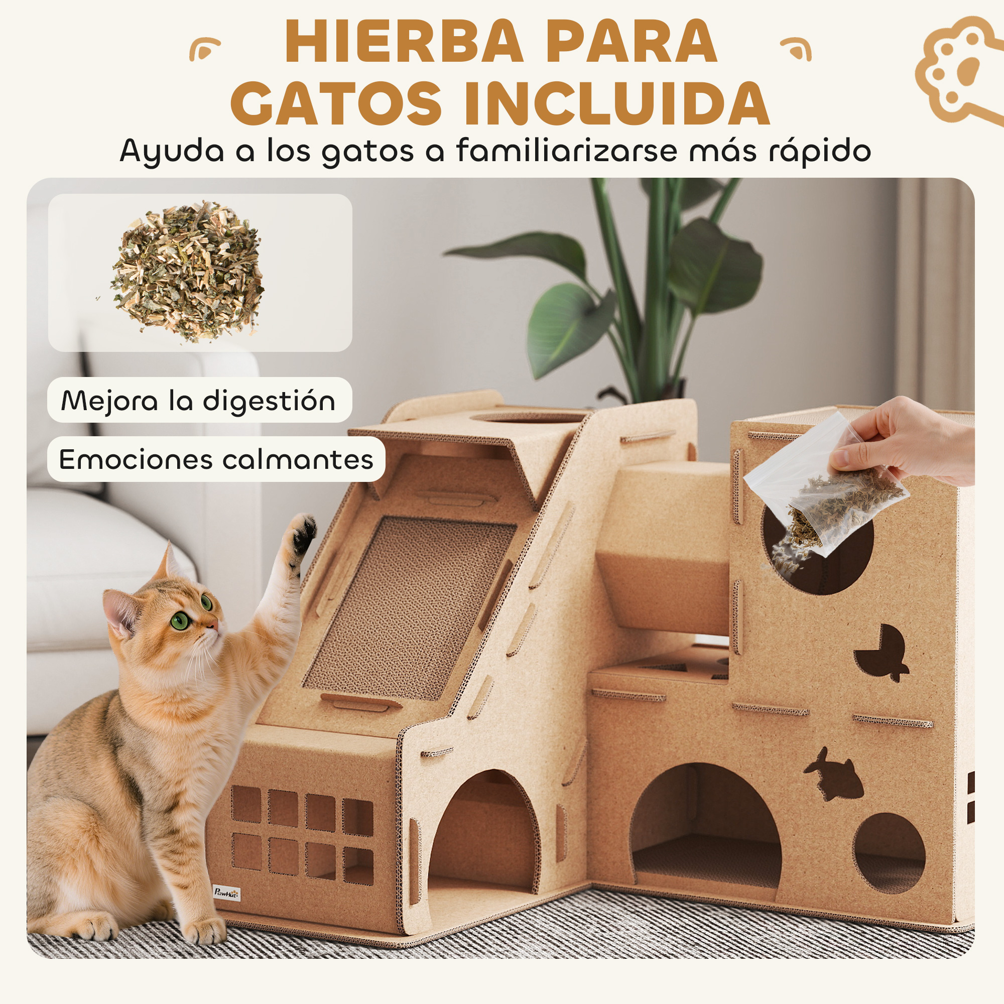 Un gato juega con un rascador de cartón, se incluye hierba gatera.