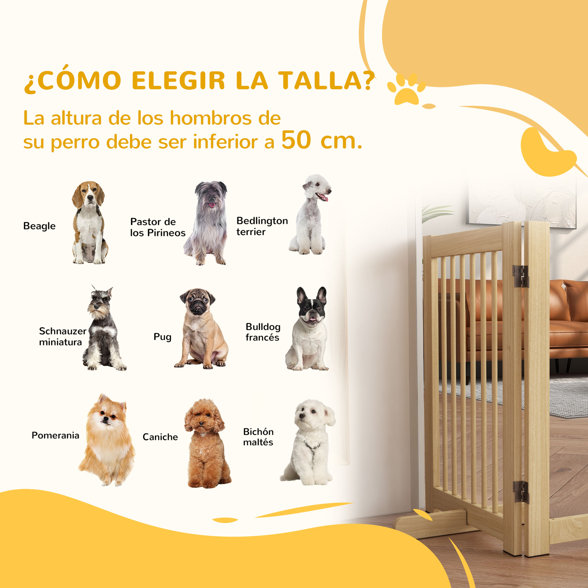 Nueve perros de distintas razas sentados frente a una valla de madera.