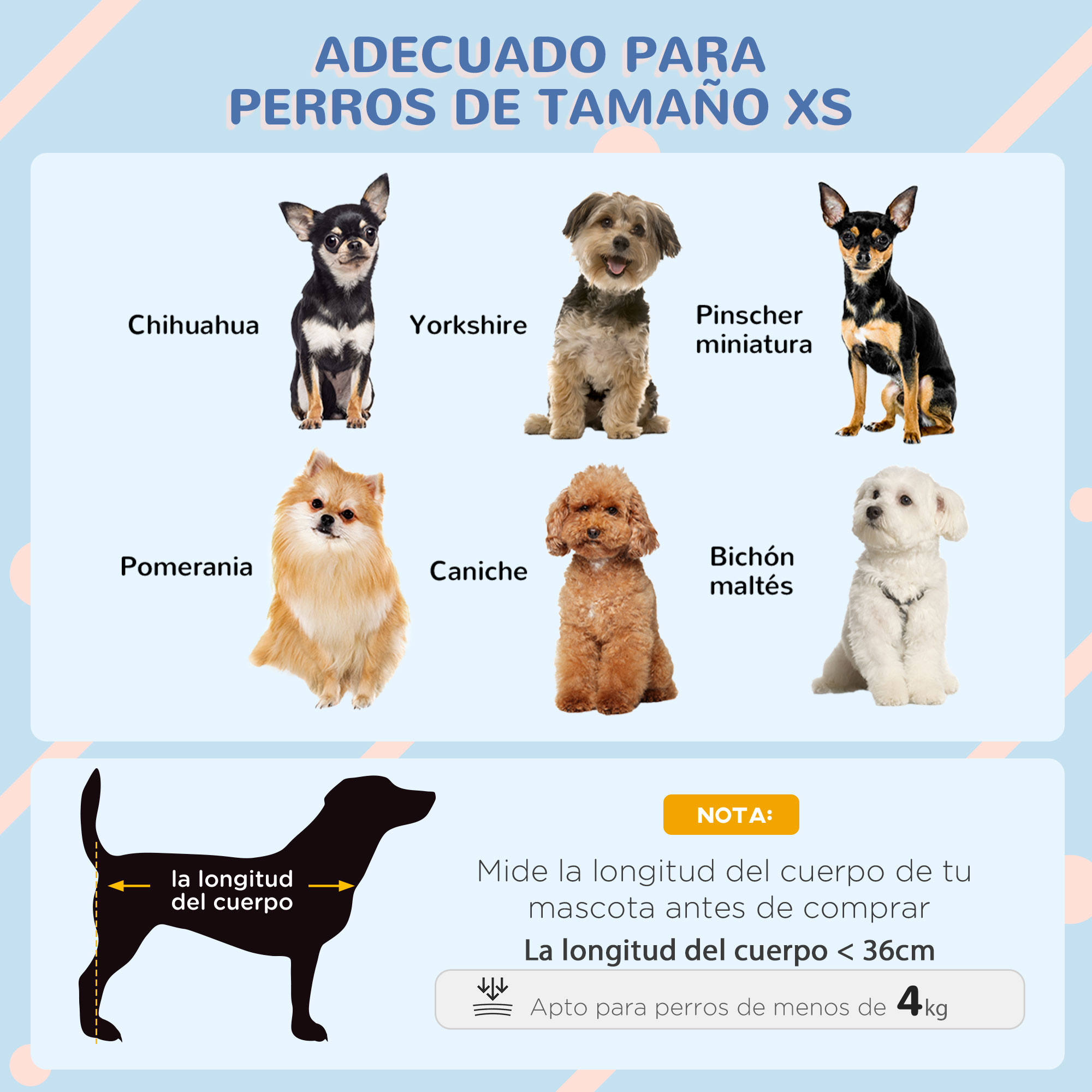 Seis perros pequeños de varias razas sentados en fondo azul claro. Un diagrama muestra la longitud.