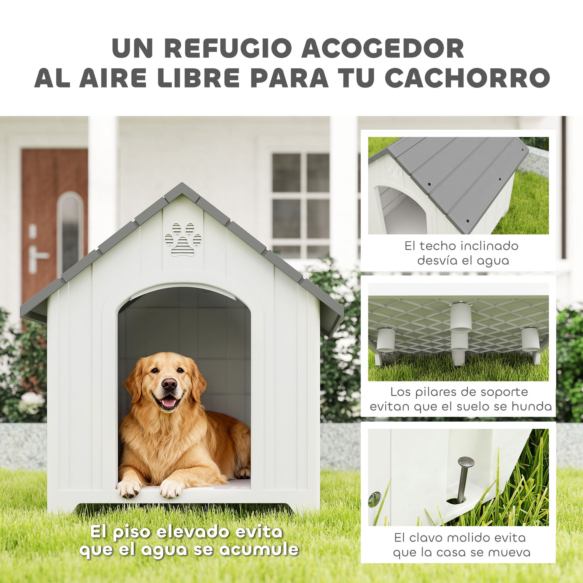 Un Golden Retriever yace dentro de una caseta para perros blanca con detalles grises.