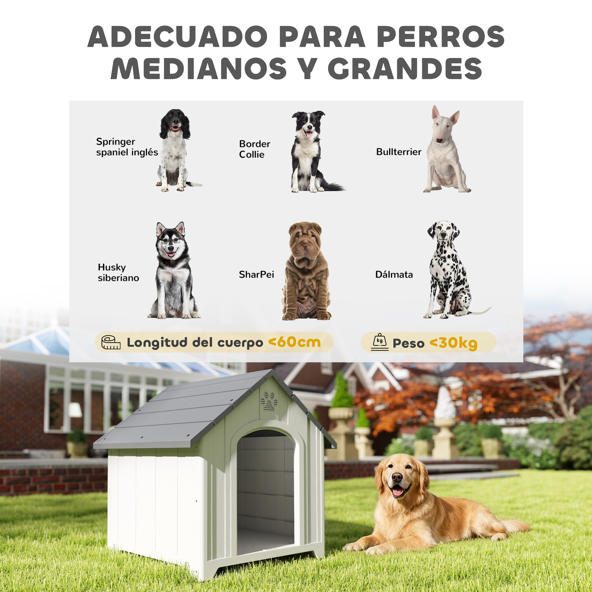Caseta para perros con varias razas y texto sobre tamaño y peso.