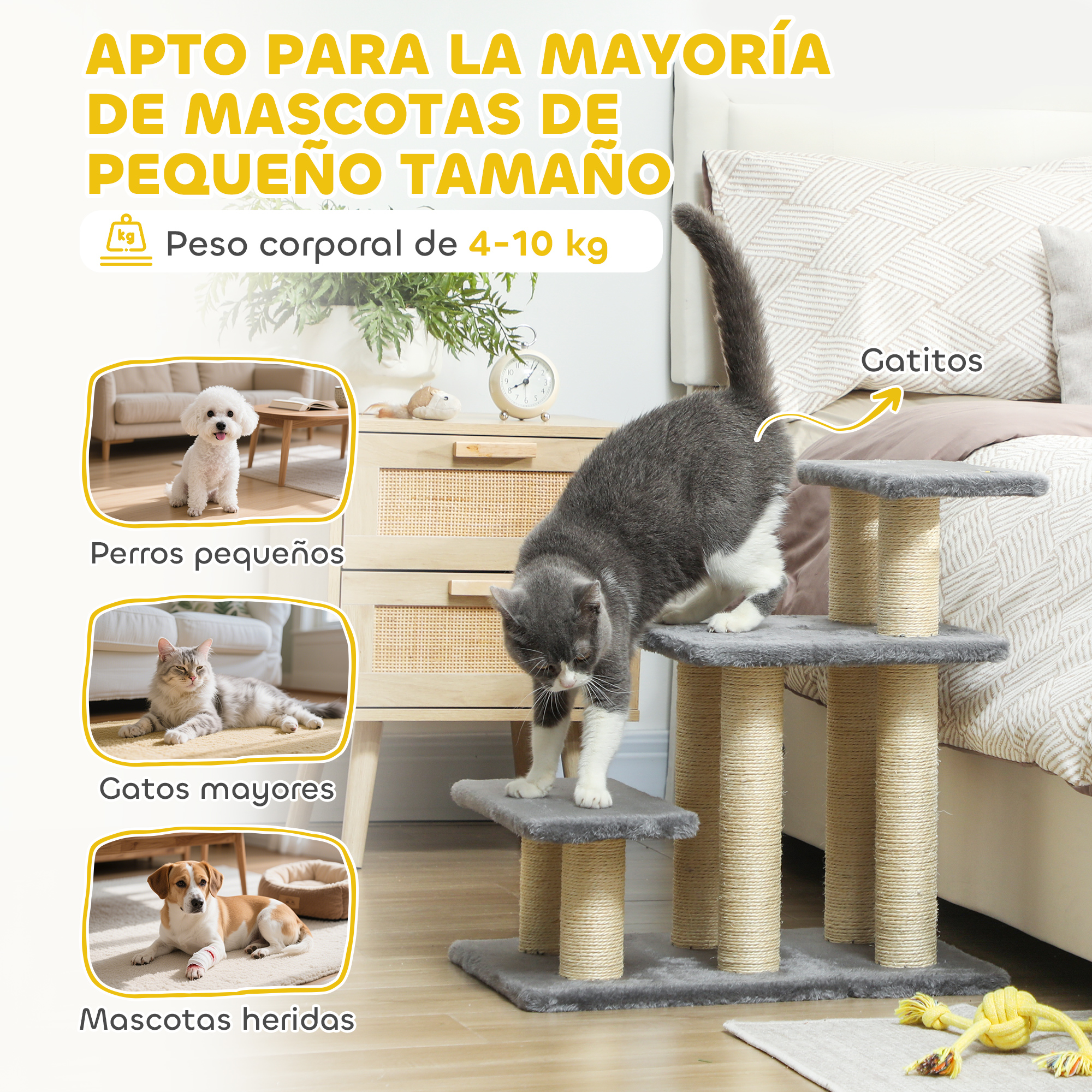 Un gato gris trepa un rascador. Se ven perros y gatos pequeños.