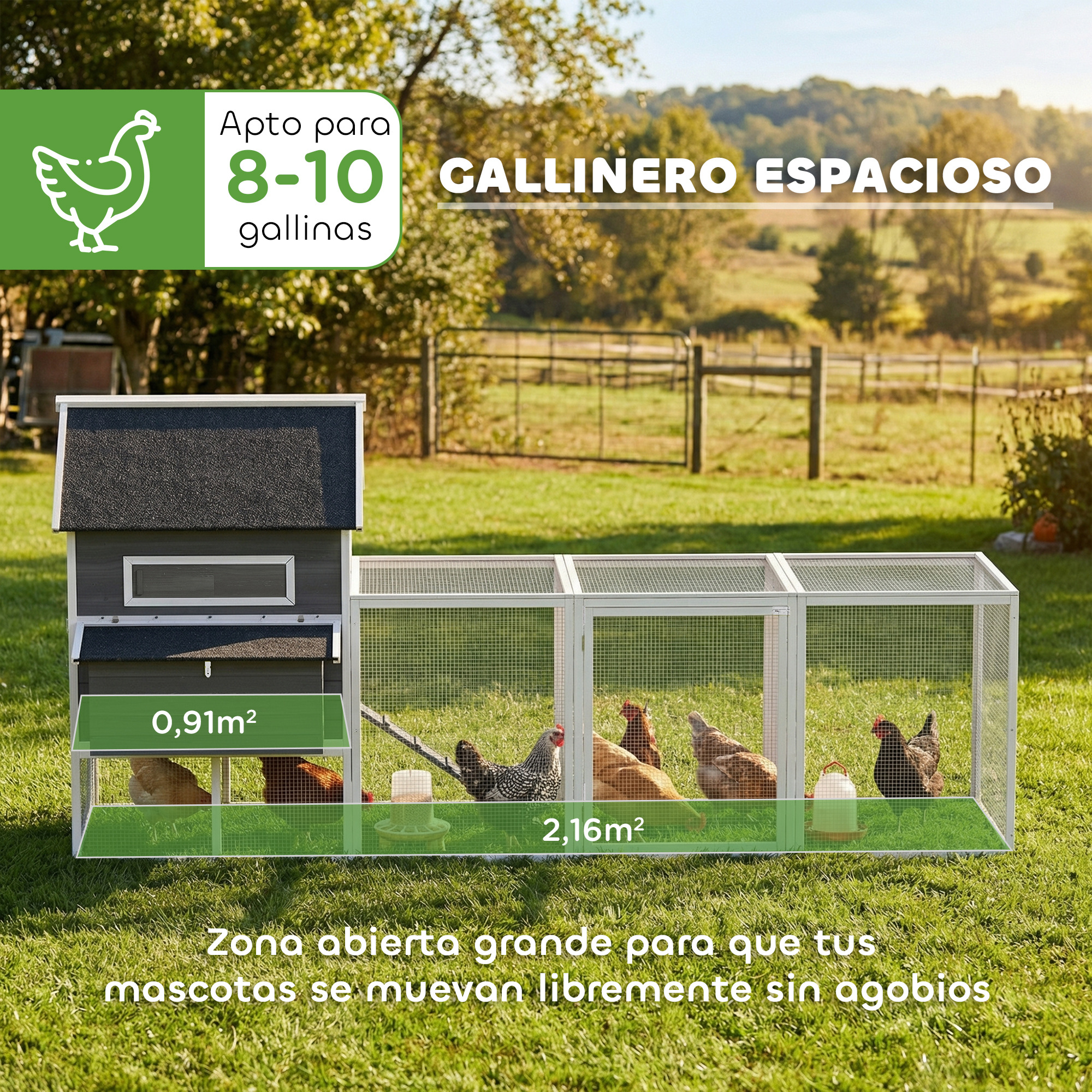 Un gallinero espacioso para 8-10 gallinas en un entorno exterior.