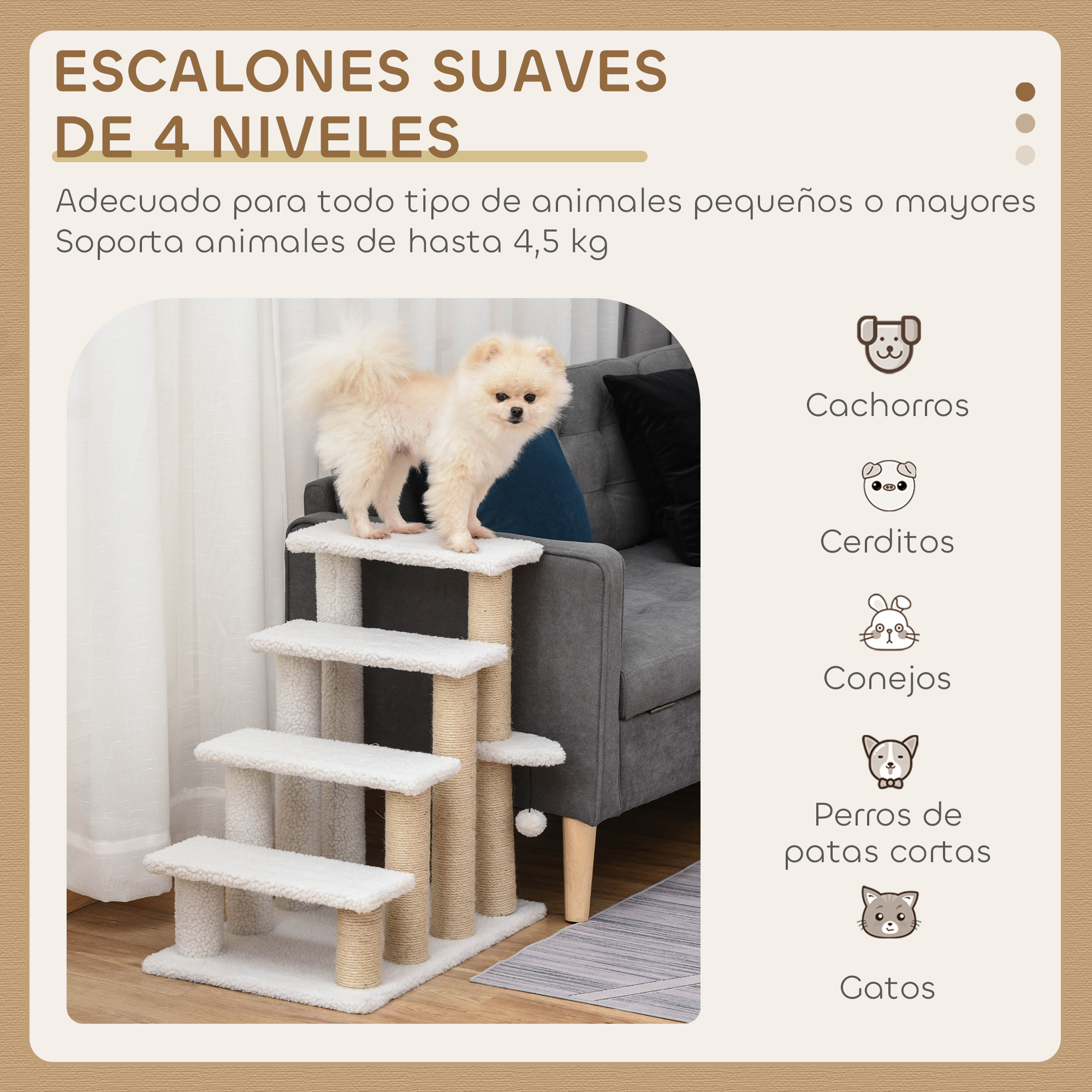 Un Pomerania se sienta en una escalera blanca de 4 peldaños junto a un sofá.