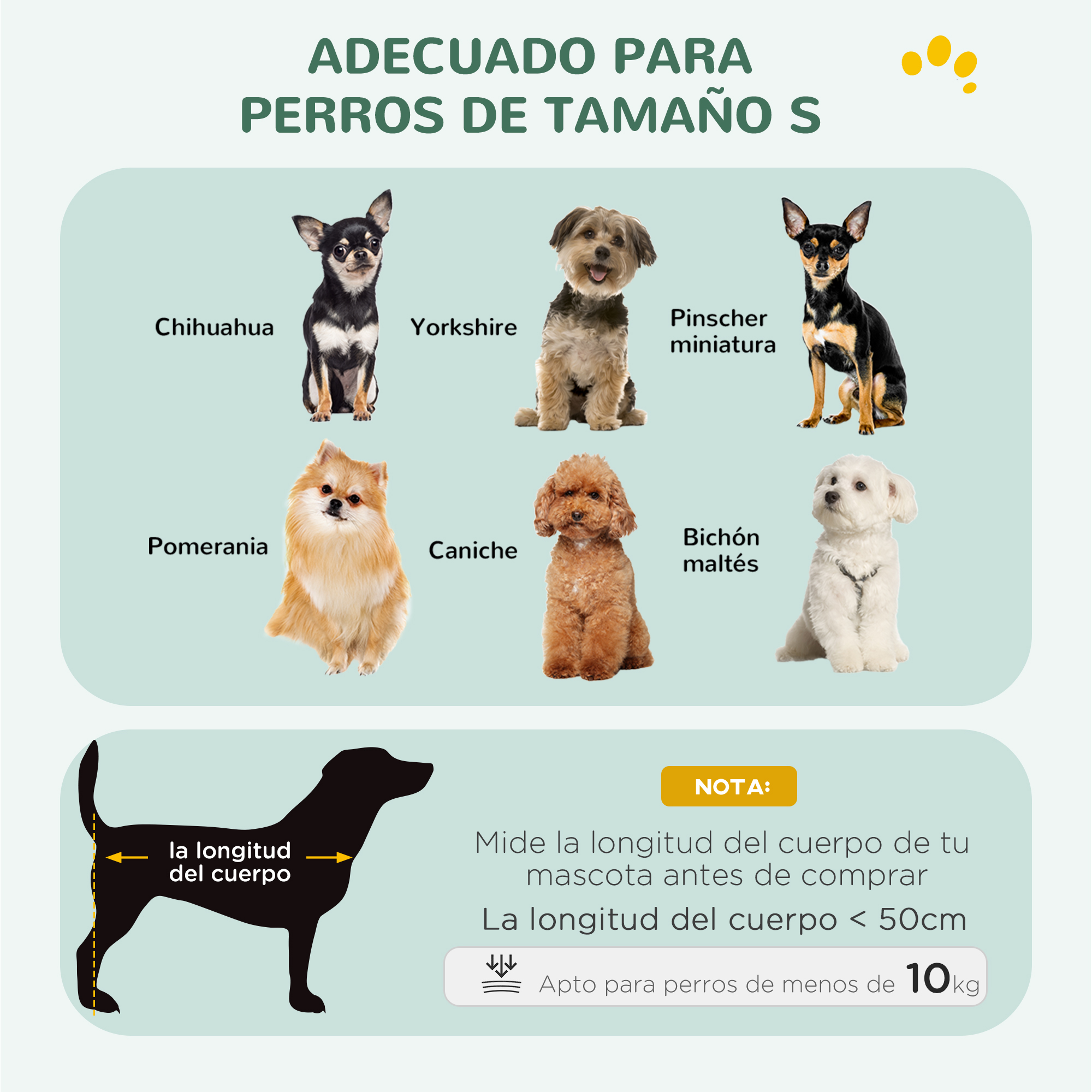 Seis perros pequeños: Chihuahua, Yorkshire, Pinscher, Pomerania, Caniche, Bichón.