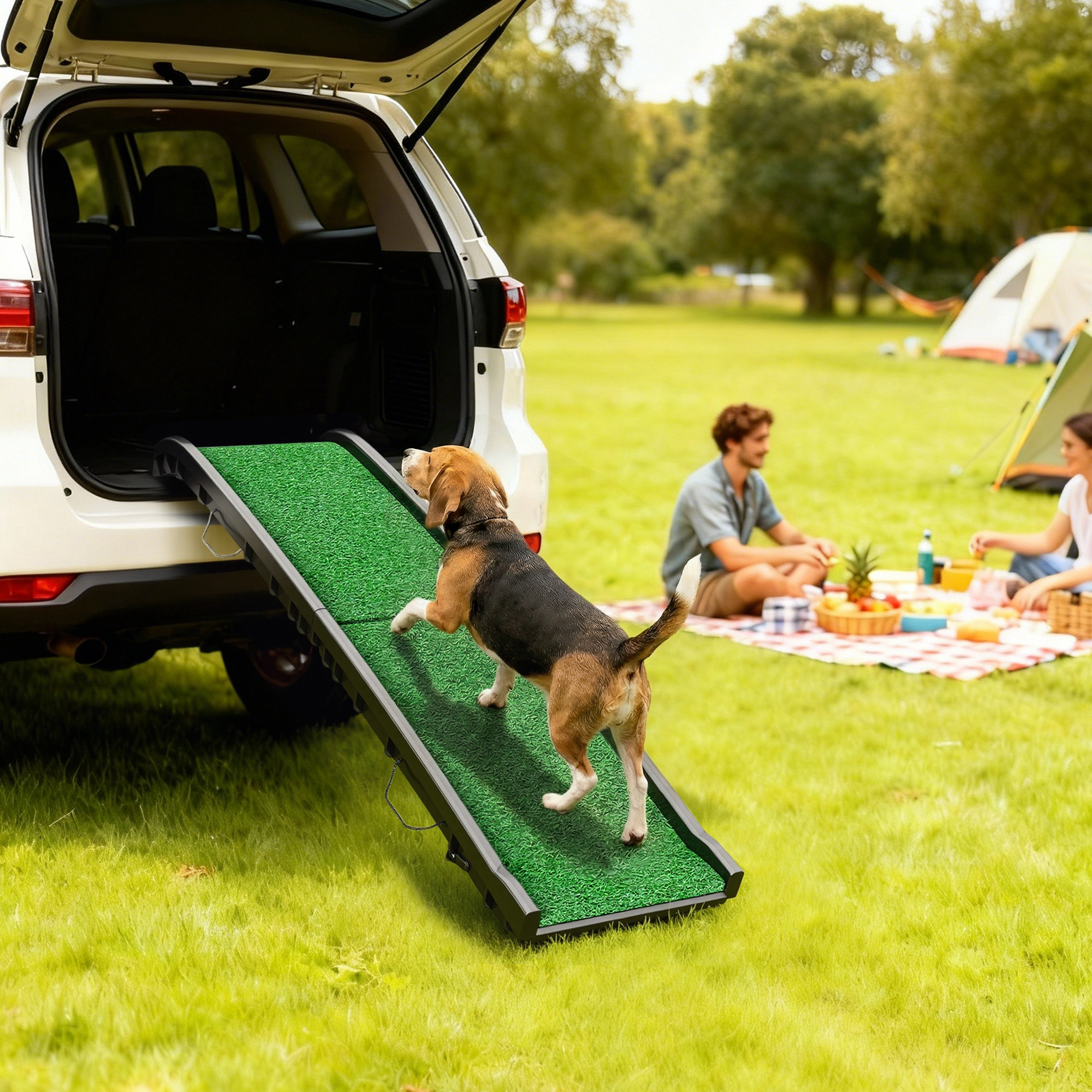 Un perro usa una rampa para subir a un coche abierto, mientras una pareja hace un picnic.