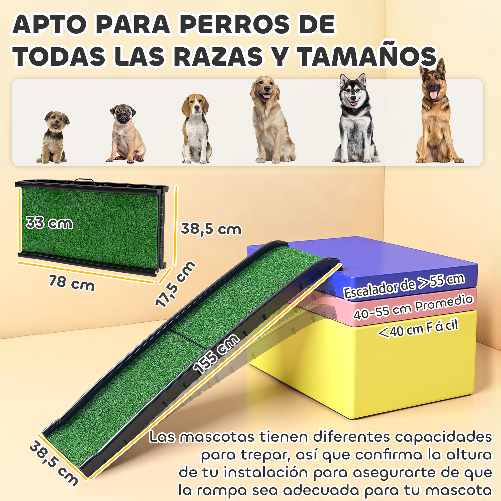 Rampa para perros con dimensiones y varios perros. Apta para todas las razas.